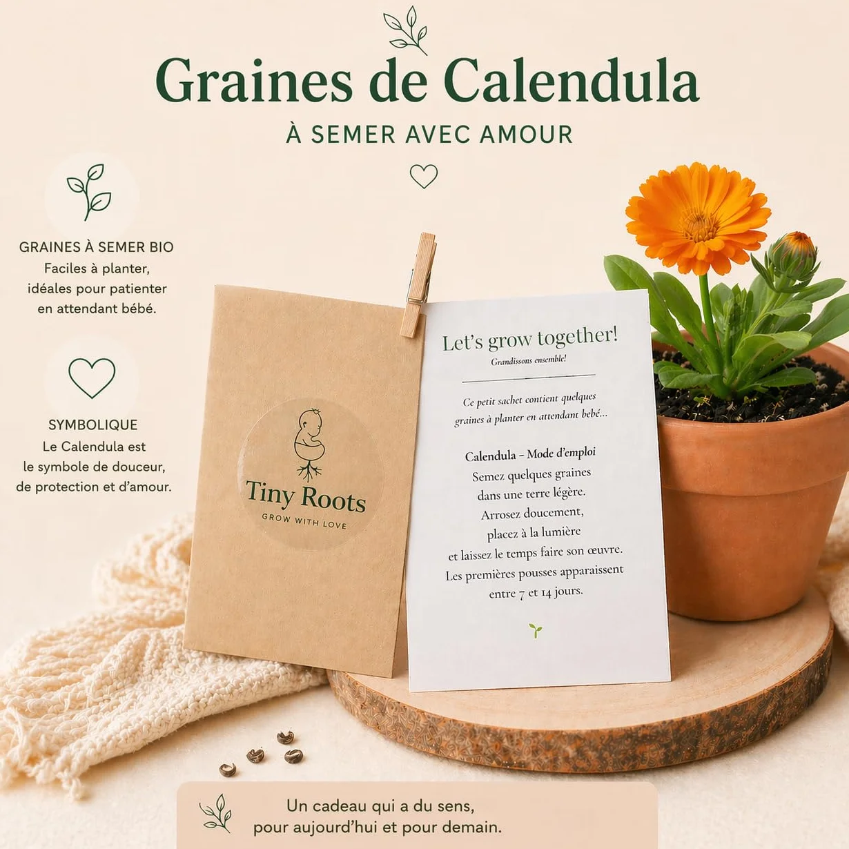 Tiny Roots Coffret Naissance Original Graines à Semer Kit Cadeau Bébé Complet Beige