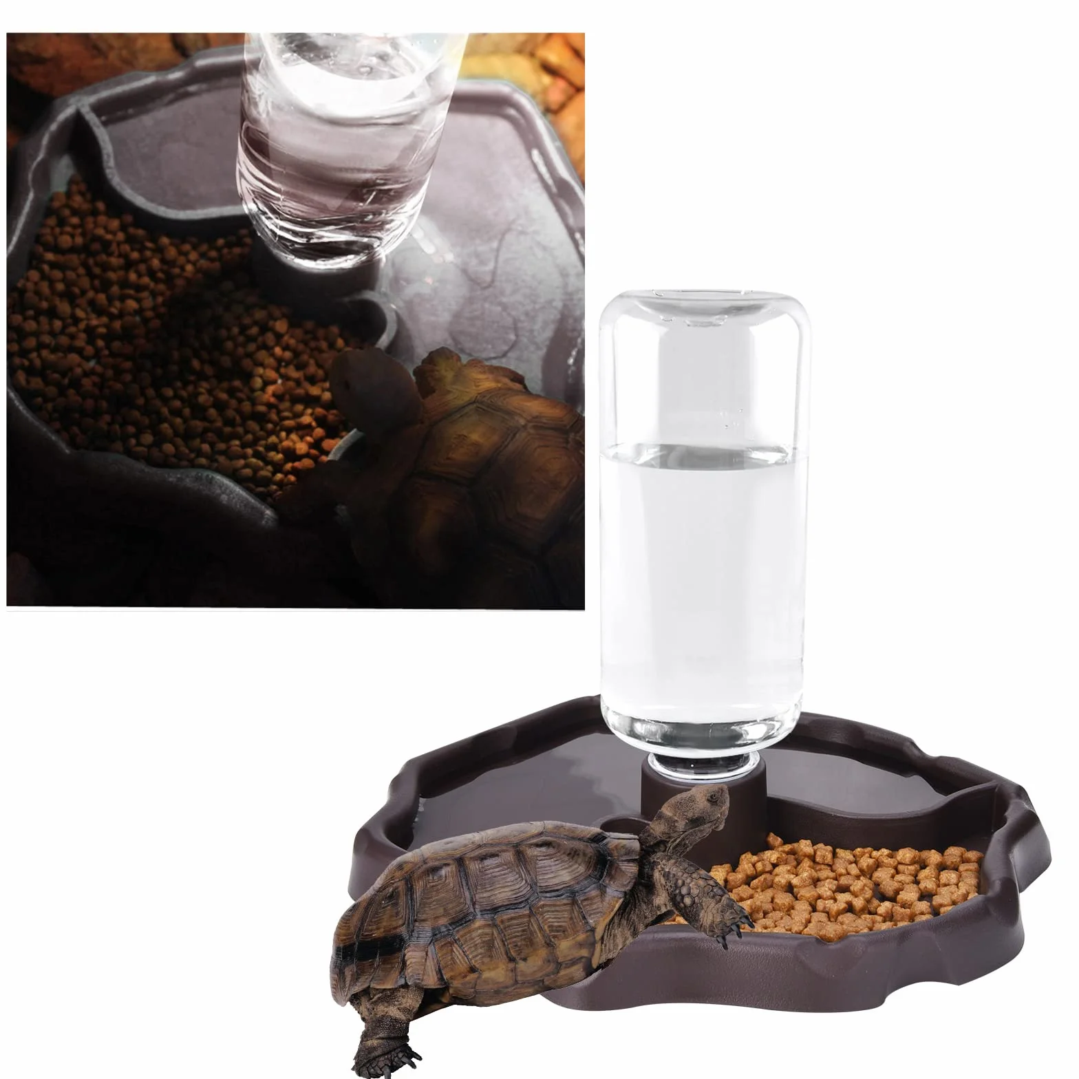 Distributeur d'eau pour Reptile Abreuvoir Tortue Mangeoire 2 en 1 Anti Débordement Plastique Brun