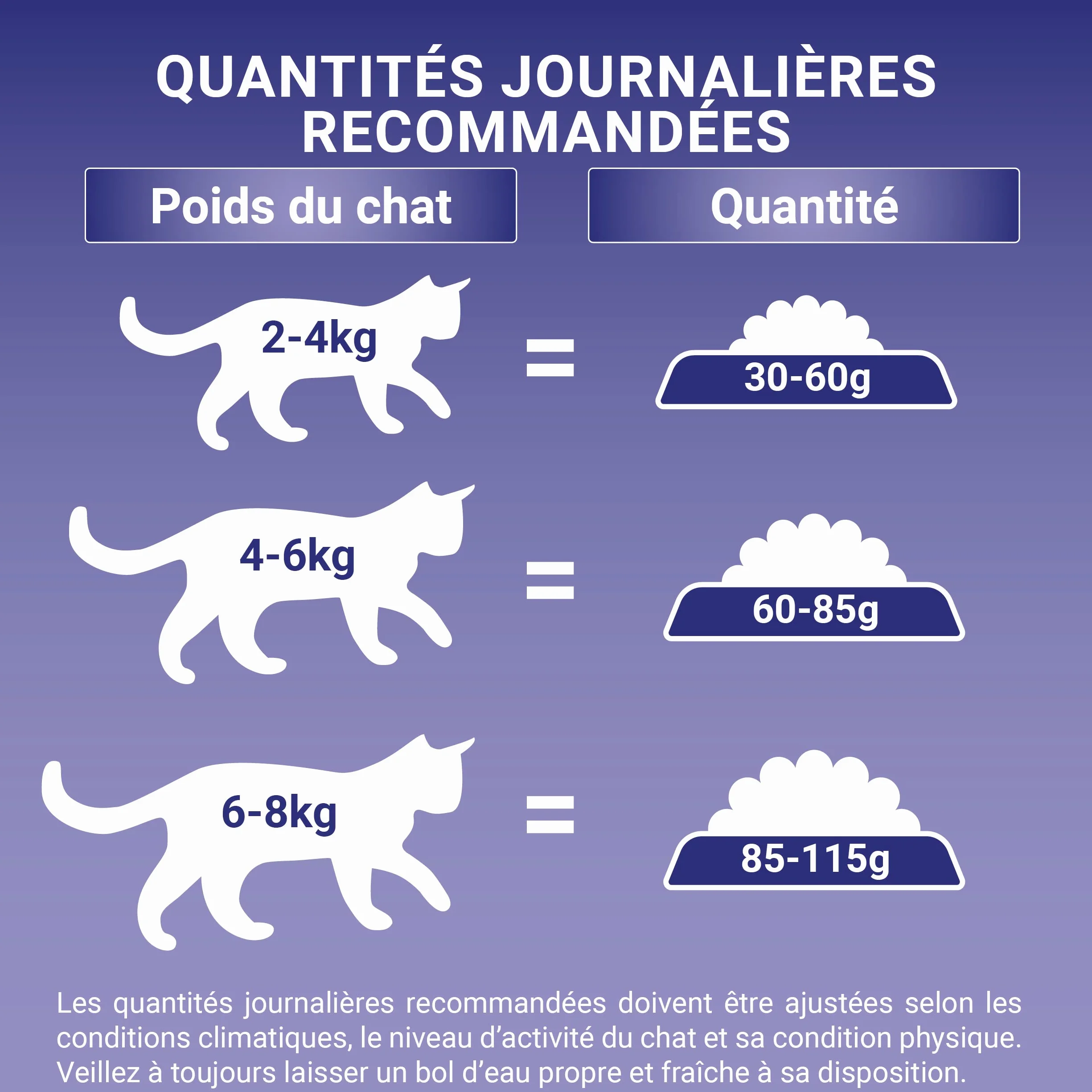 PURINA ONE BIFENSIS Croquettes Chat Adulte Stérilisé Au Saumon 9,5kg