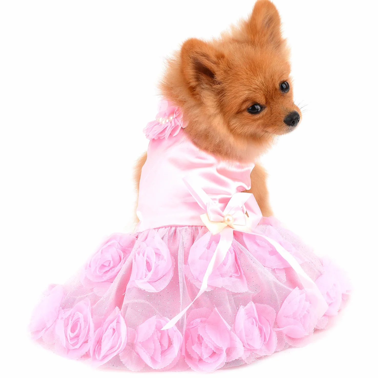 PAIDEFUL Robe pour Petit Chien Fille Jupe Tutu en Dentelle à Fleurs Roses Soyeux Mariée Anniversaire Chihuahua Rose S
