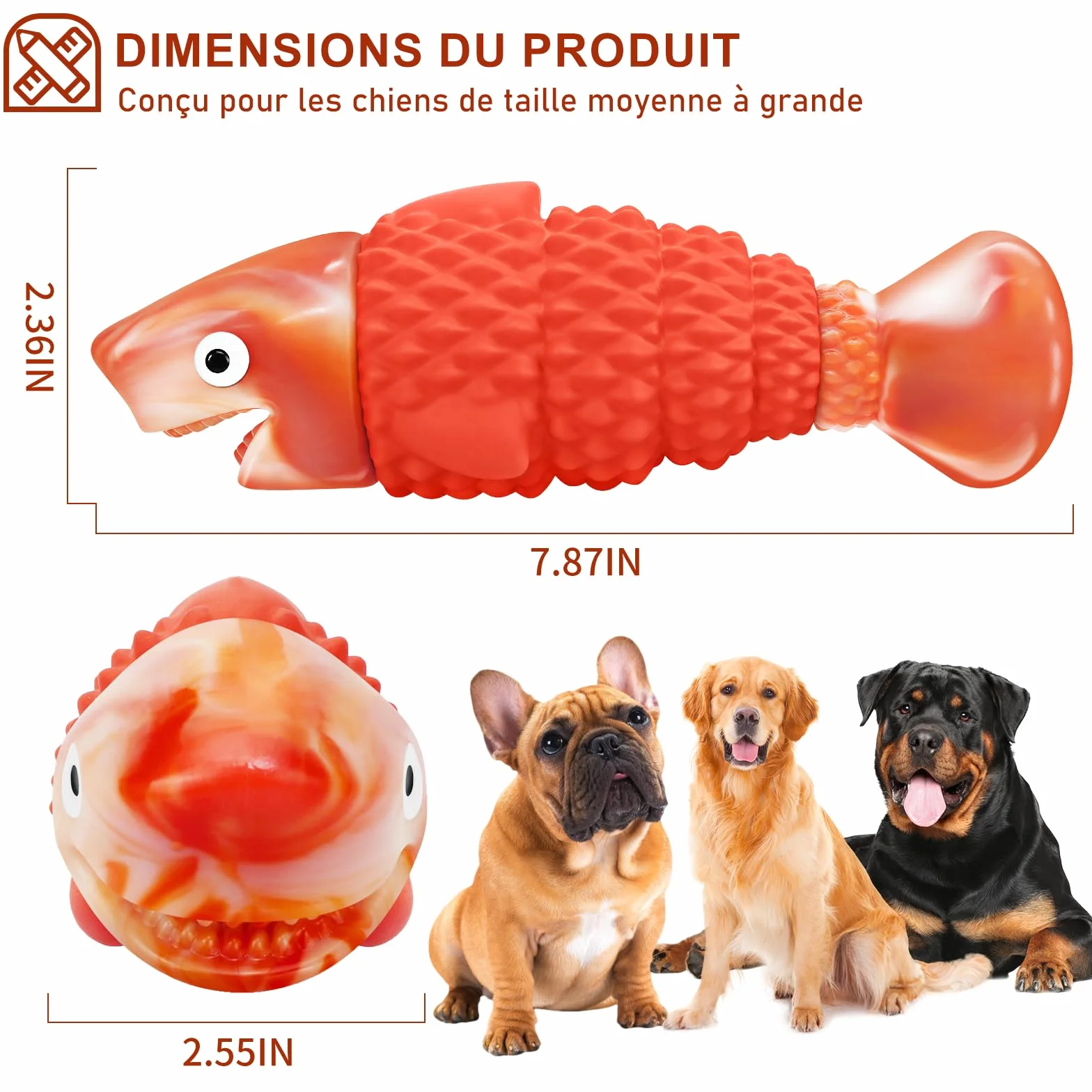 WinTour Jouet Chien Indestructible pour Mâcheur Agressif, Jouet à Mâcher Durable avec Son Grinçant pour Moyenne et Grande Race