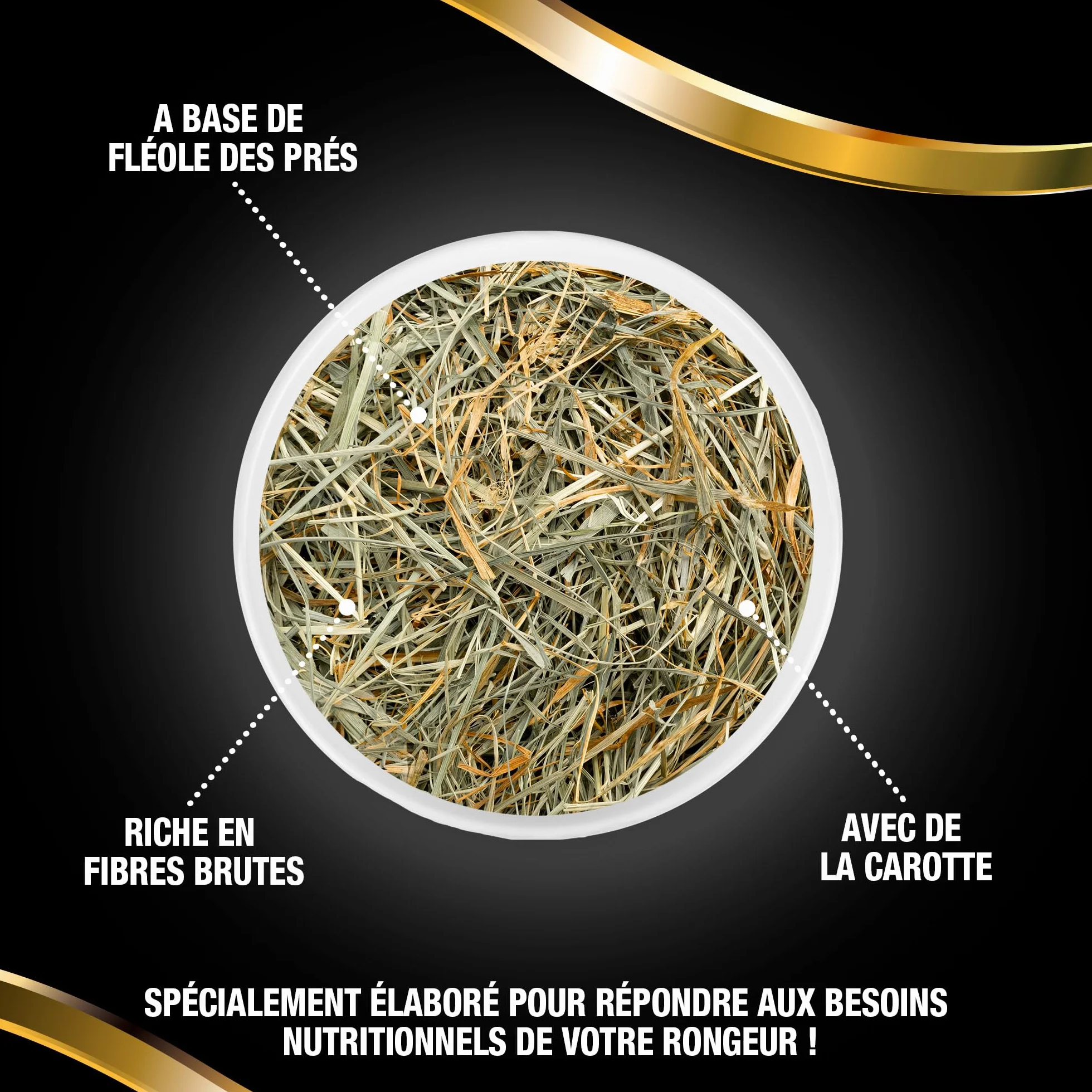 Foin Premium Timothy à la Carotte pour Rongeurs 500 g