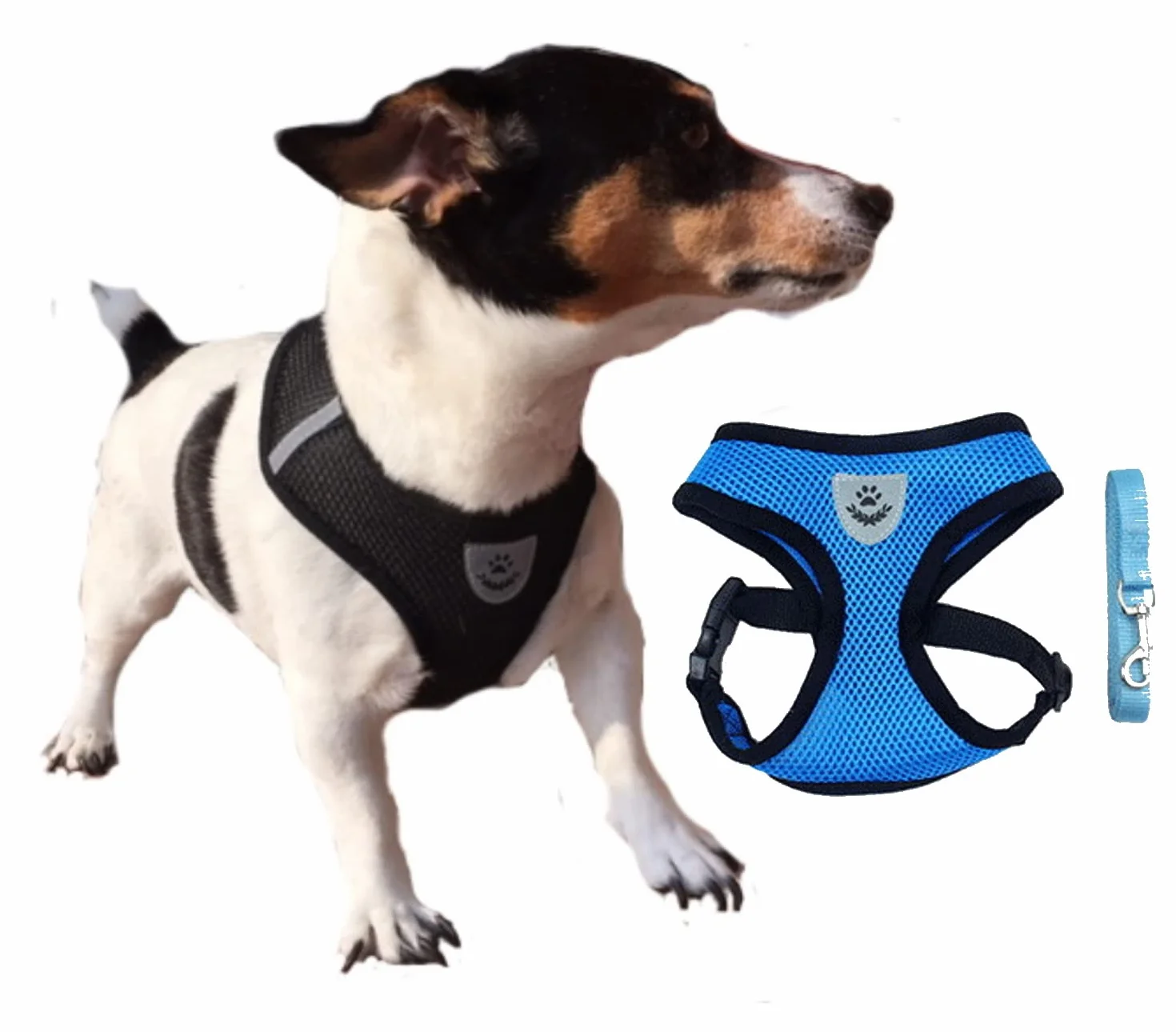Harnais S Bleu aéré pour chat chiot laisse offerte même couleur LIFE UTILITY petit animal anti-traction réglable 4 tailles 5 couleurs