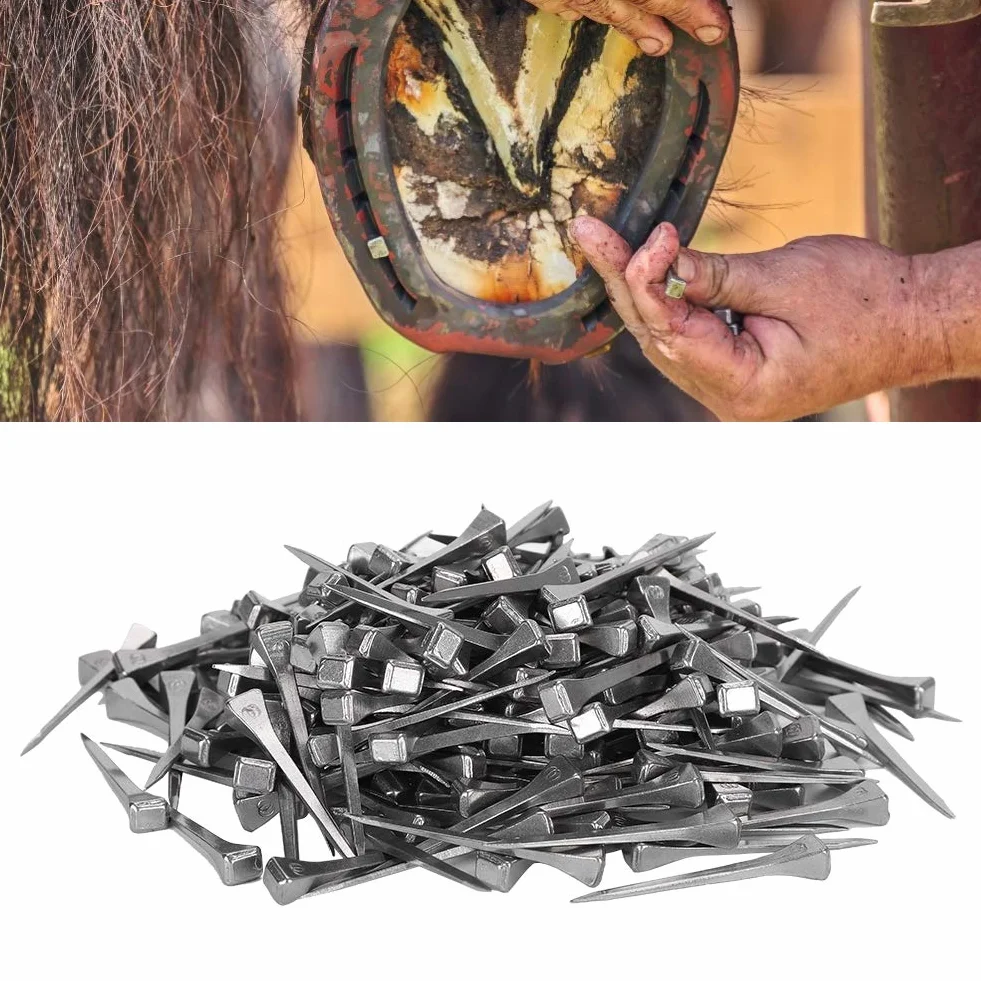 Joyzan Clous Fer Cheval 250 Pcs Horseshoe Nail Acier Outil équipement Cheval