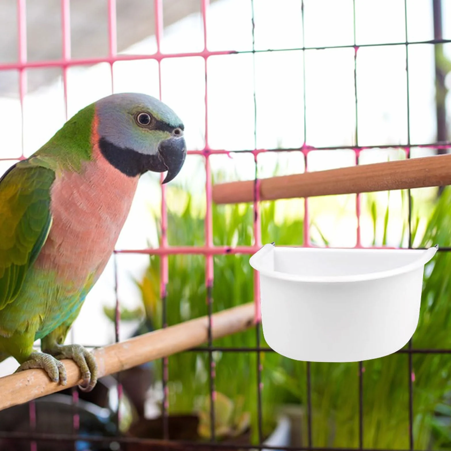 Gamelles en plastique en forme de D avec crochet pour cage à oiseaux - Accessoires pour petits oiseaux, perroquets, calopsittes et perruches (blanc)
