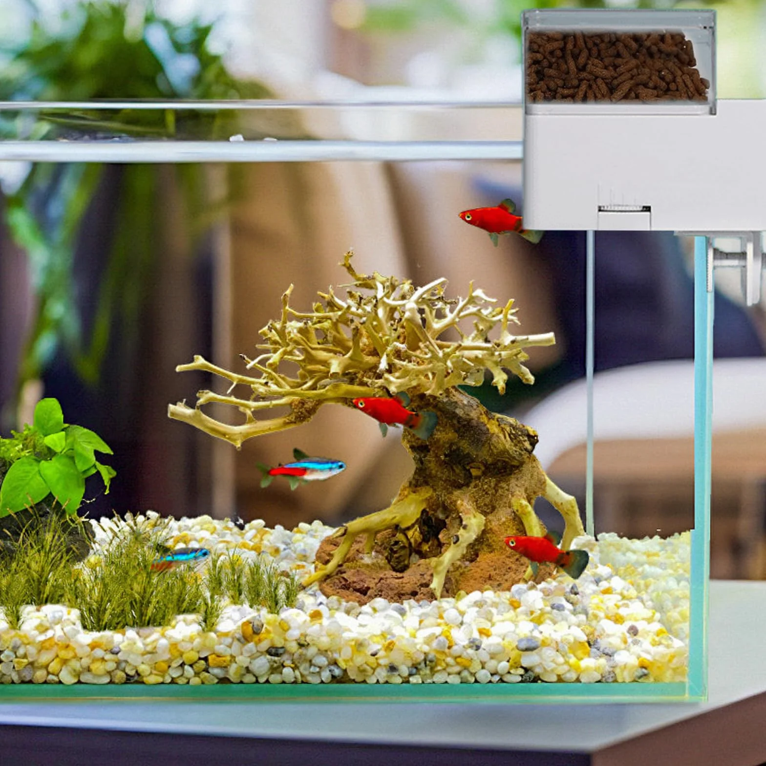 Distributeur automatique de nourriture pour aquarium 150 ml 4 modes de mesure du temps pour poissons et poissons rouges avec réservoir