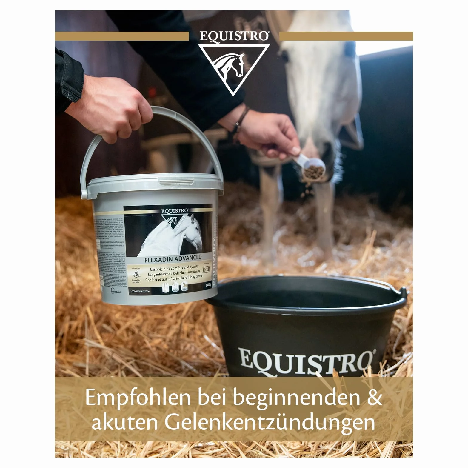 EQUISTRO® Flexadin Advanced Complément Alimentaire pour Chevaux Soutien du métabolisme articulaire UC-II® 2,4 kg