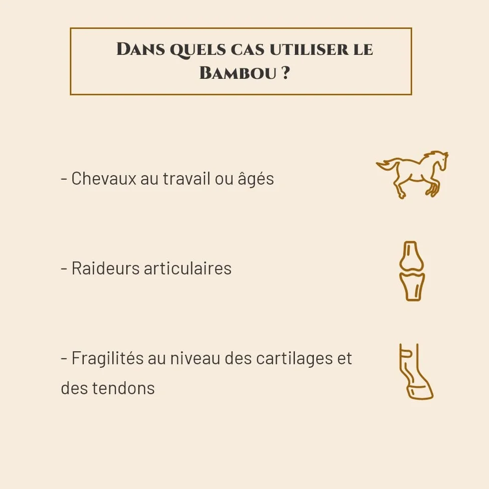 BAMBOU Complément nutritionnel Cheval Seau 1 kg Santé articulations Reminéralisation osseuse