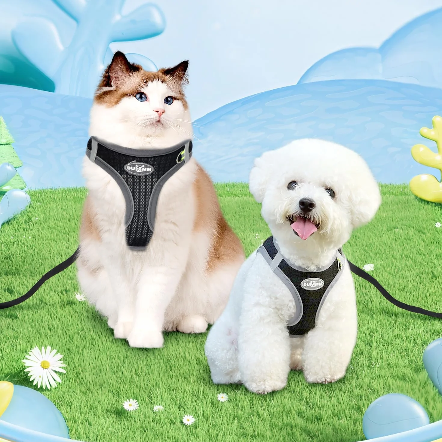 Harnais confortable pour chat noir respirant avec harnais souple pour harnais de poitrine, harnais pour chat avec laisse anti-éclatement, laisse réglable avec harnais pour chat (taille M)