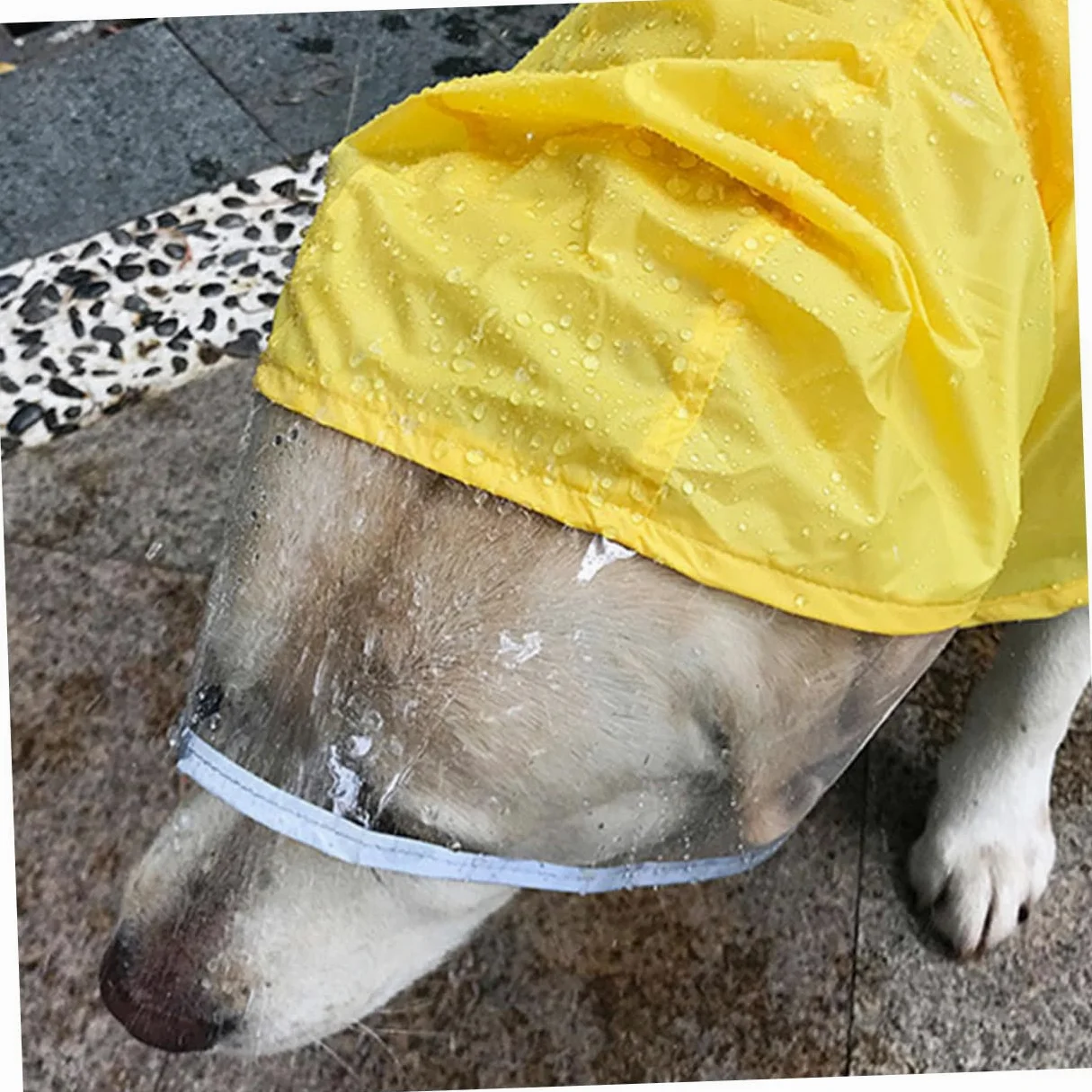 Manteaux de Pluie imperméables pour Chien, imperméable pour Chien, 2 pièces, Gilet réfléchissant à Capuche pour Chien, Gilets réfléchissants, Manteaux de Pluie