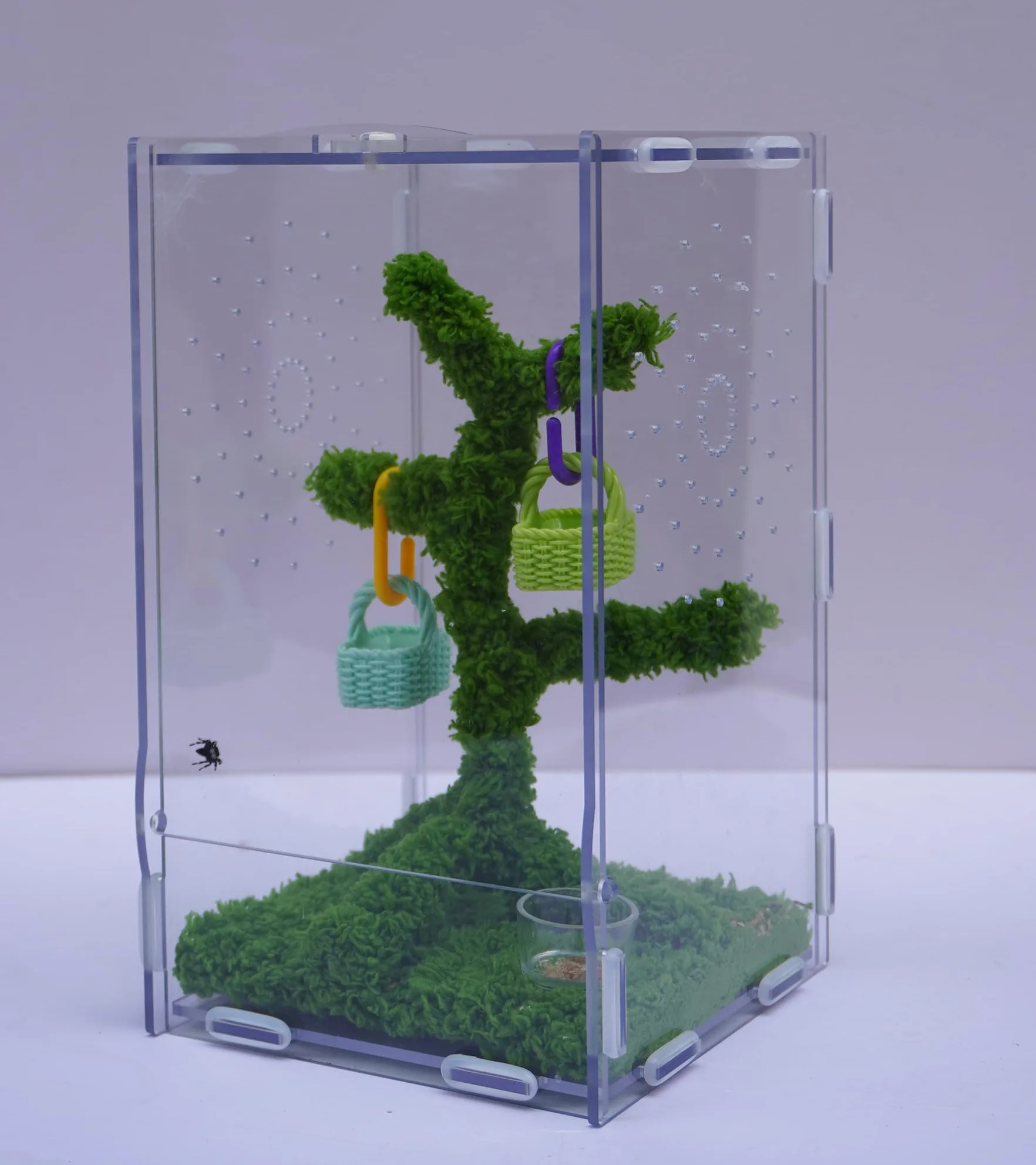 Kit Terrarium Araignées Sauteuses Acrylique Ventilé 22x13x12 cm avec Pince Nourriture et Décor