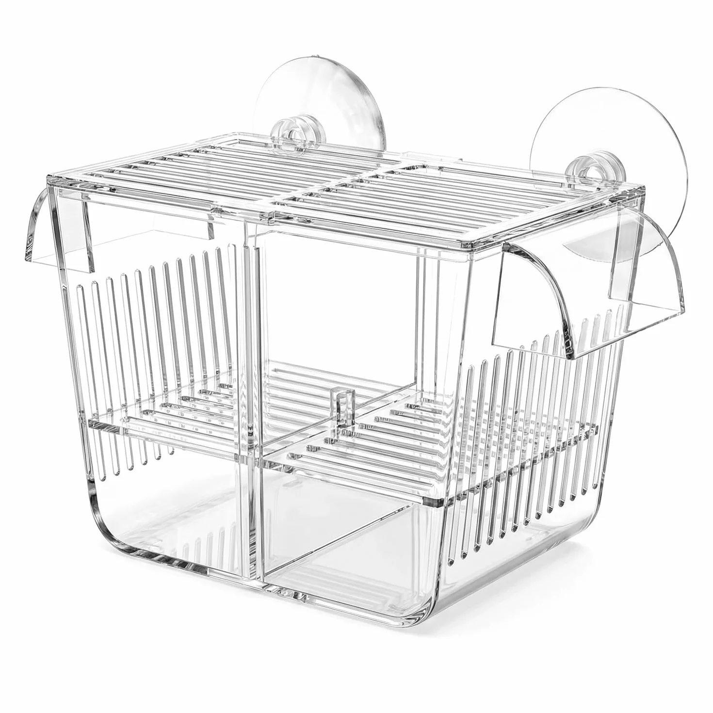 QWORK Boîte d'élevage Aquarium 127x30x51mm incubateur de Poissons avec ventouses pour alevins crevettes guppys