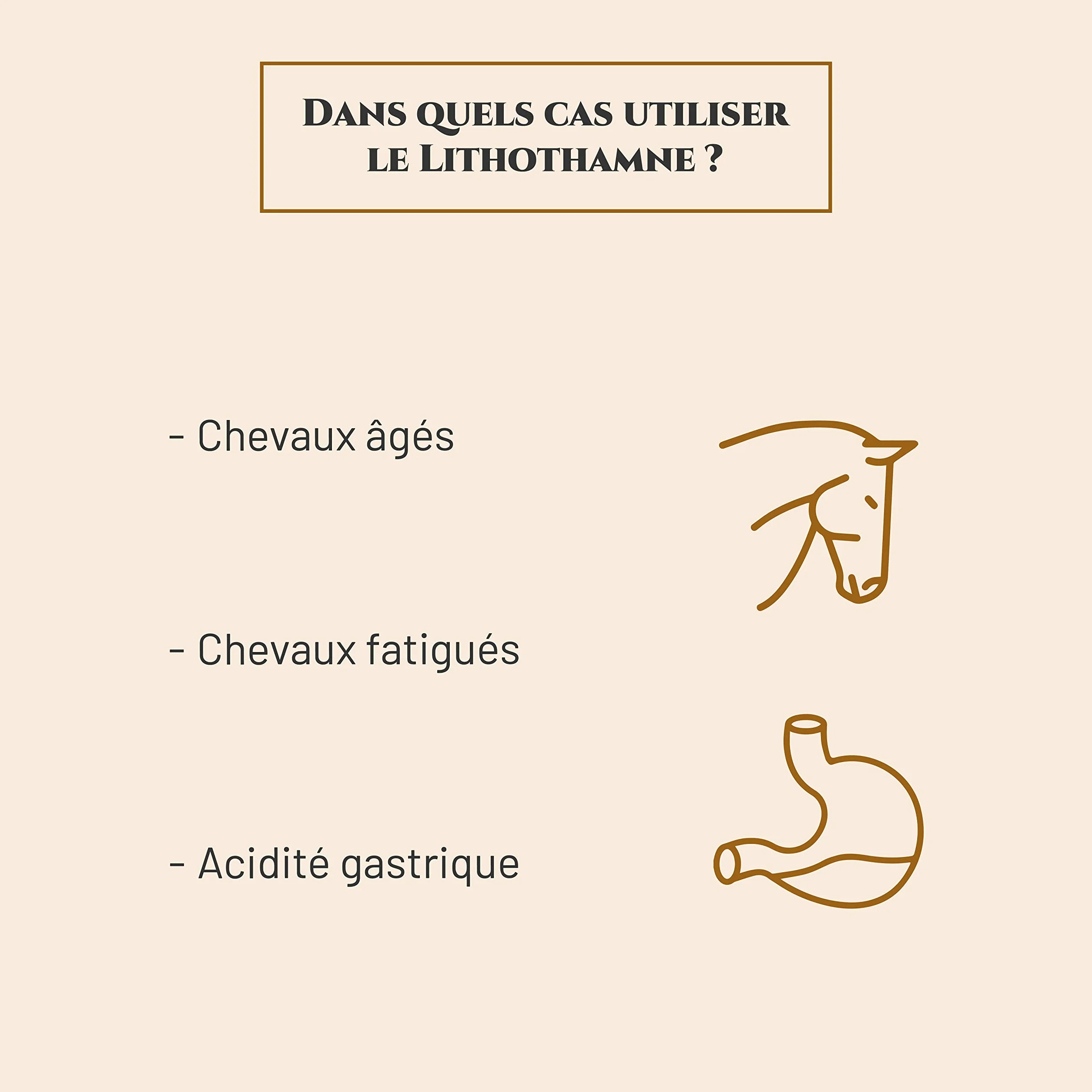 LITHOTHAMNE Complément nutritionnel Cheval Seau 1 kg Calcium Naturel Aide réguler acidité gastrique Reminéralisation