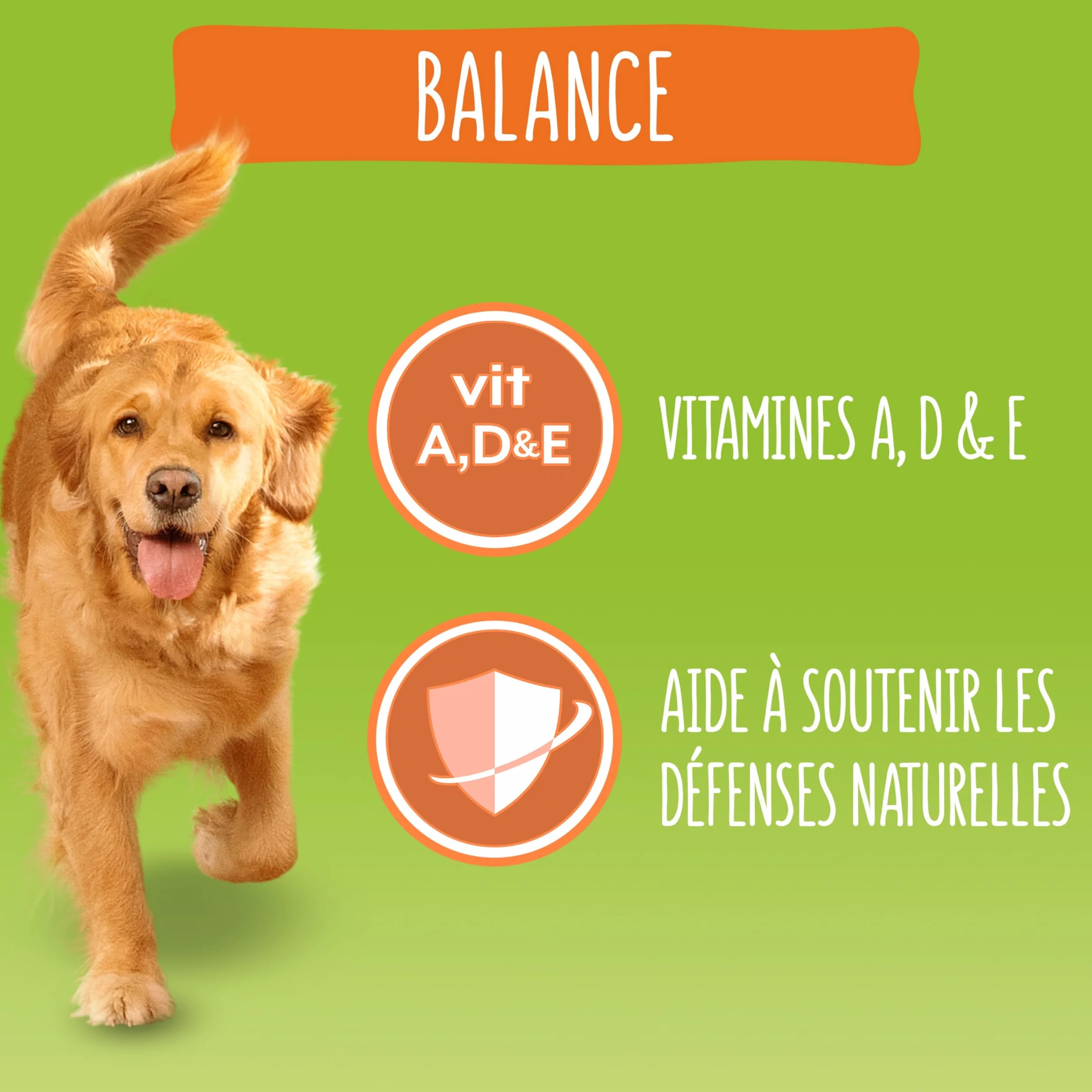 FRISKIES Balance Croquettes pour Chiens Adultes au Poulet, Boeuf et Légumes 12 kg