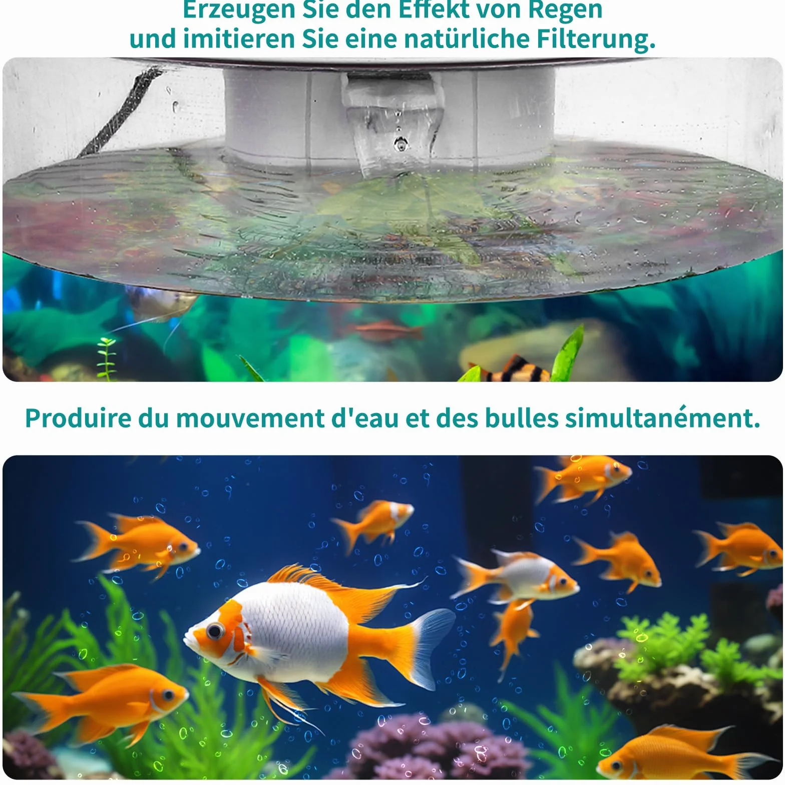 Veilleuse Zingbabu pour aquarium, lumière à spectre complet, filtre, blanc