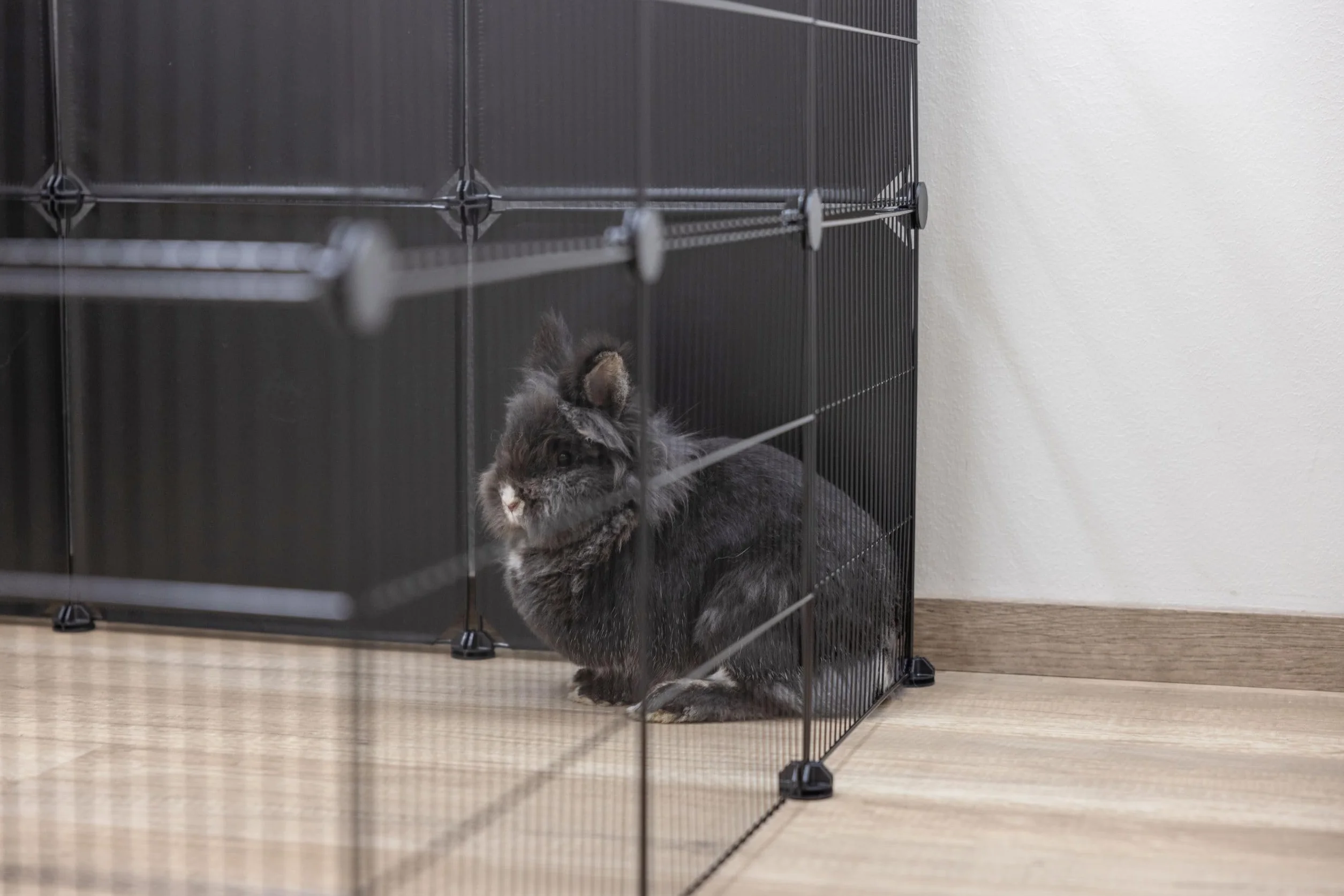 Kerbl Pet 6 éléments Grille suppl. 35x35 cm