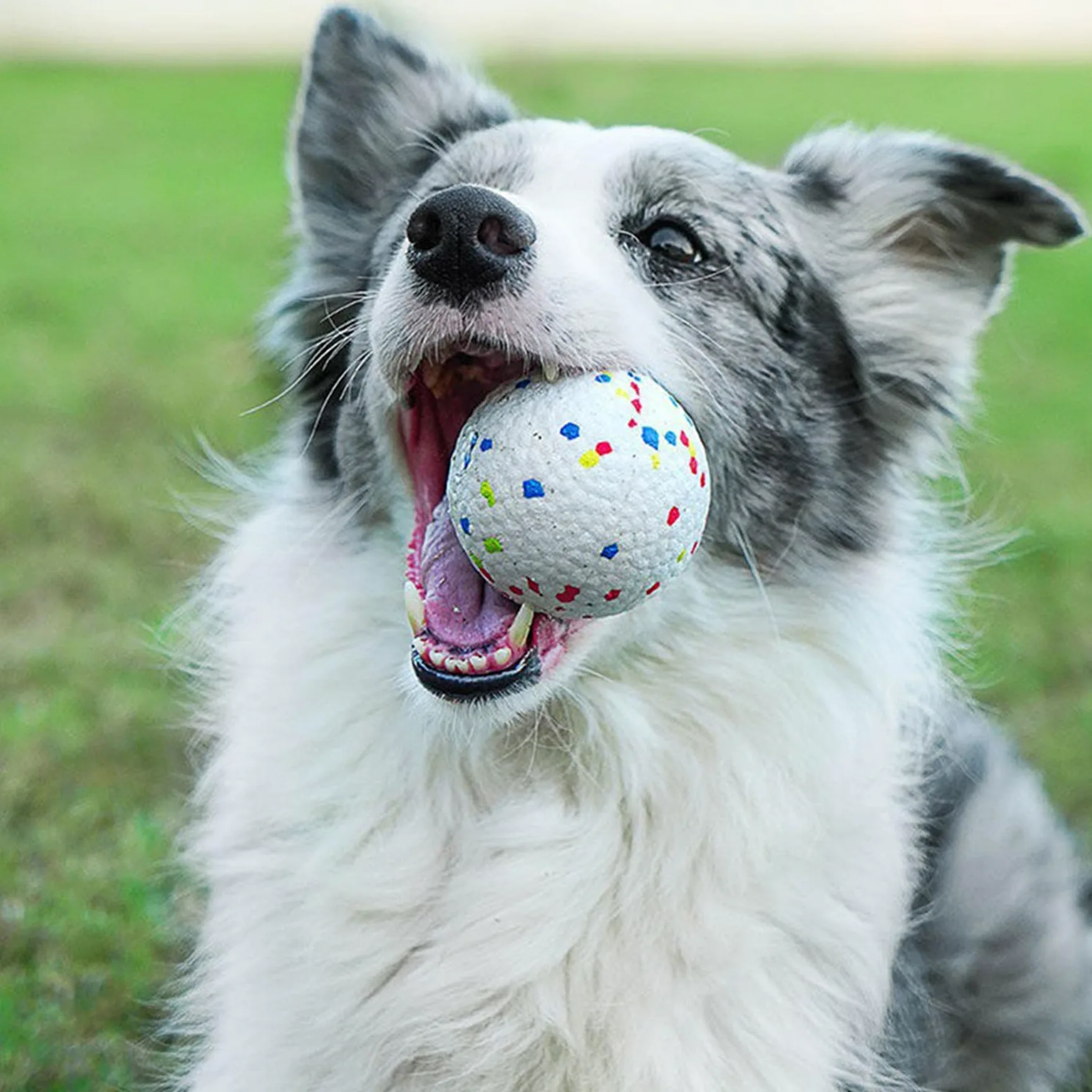 Lanceur de Balle Automatique pour Chien - Jouet Intelligent Réglable pour Jardin/Intérieur, Angle & Distance, Portable, Faible Bruit, avec 3 Balles pour Chien (26.3x19.8x28cm)