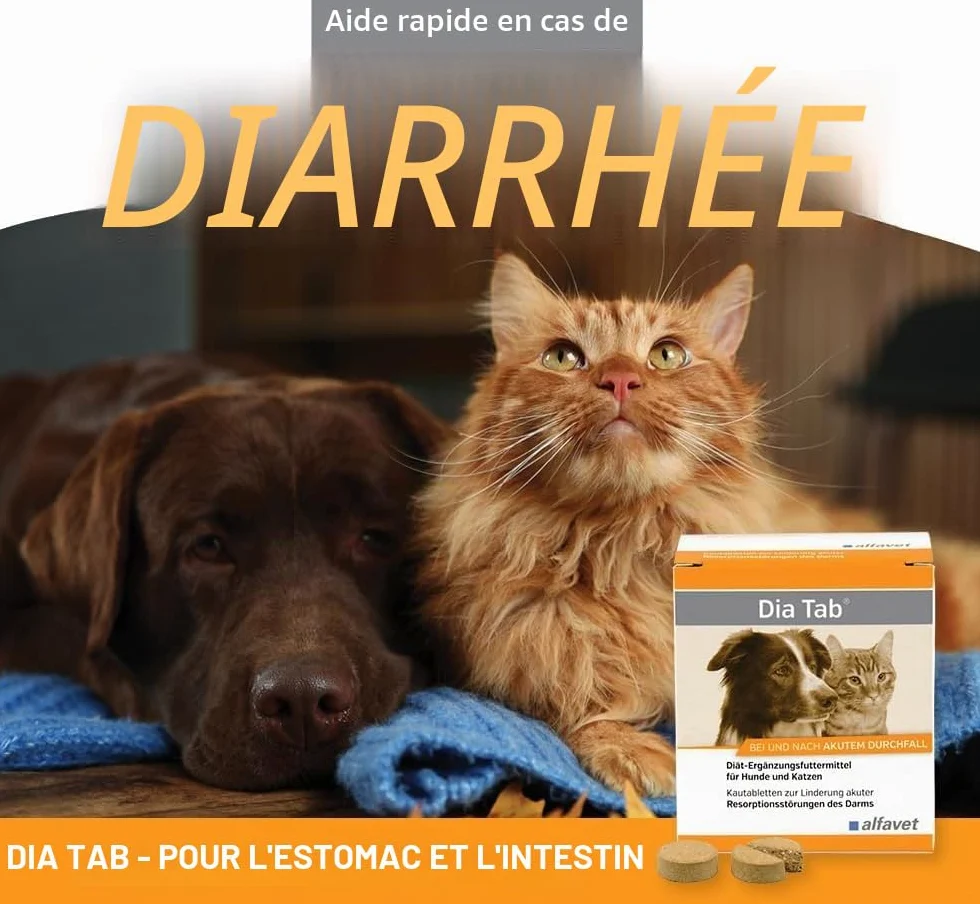 alfavet Dia Tab, complément Alimentaire diététique pour Chiens et Chats, comprimés à mâcher Contre la diarrhée et Les vomissements, 60 x 5,5 g