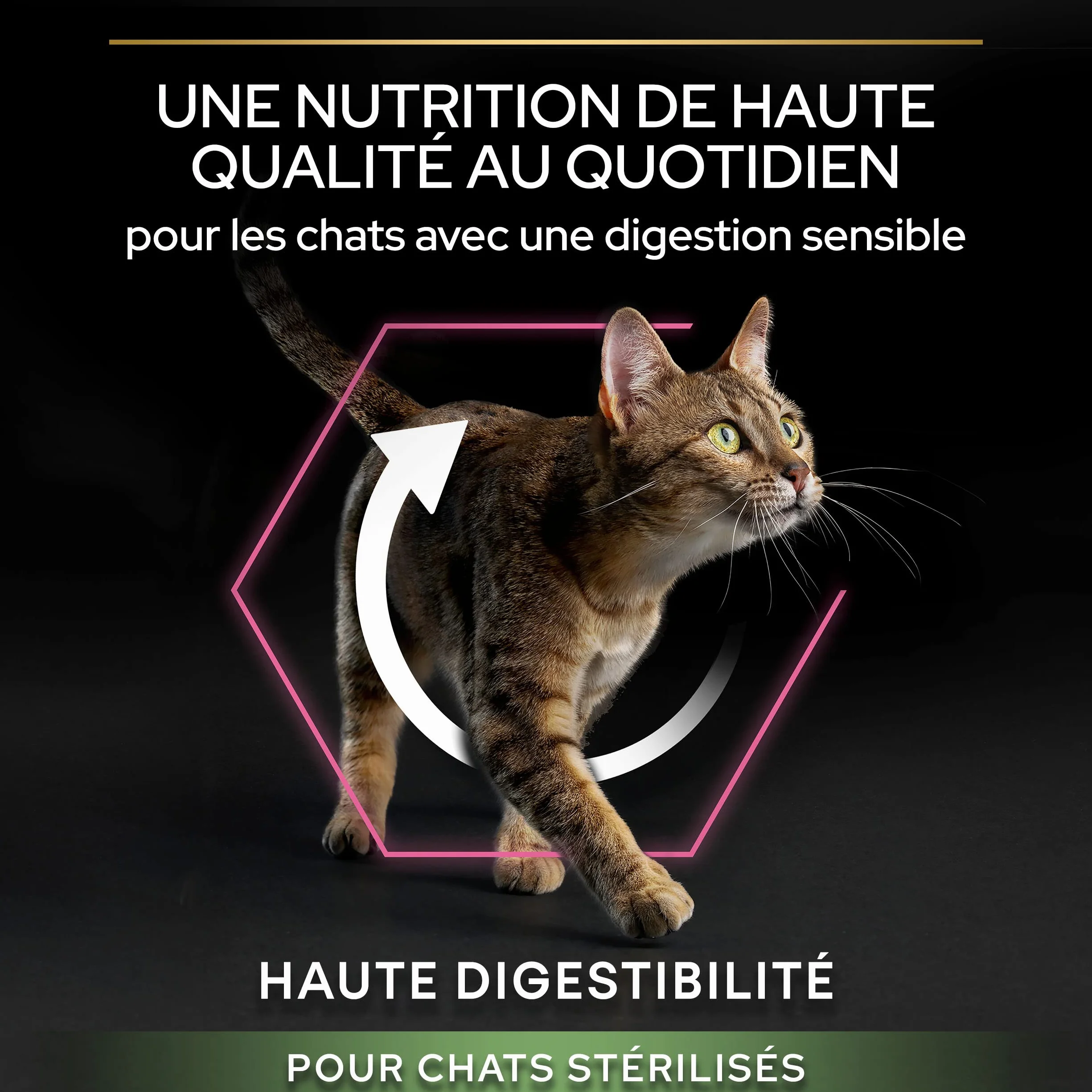 PURINA PRO PLAN Adult DELICATE DIGESTION Aliment Complet pour Chat Adulte Stérilisé Croquettes Au Poulet Sac 10Kg