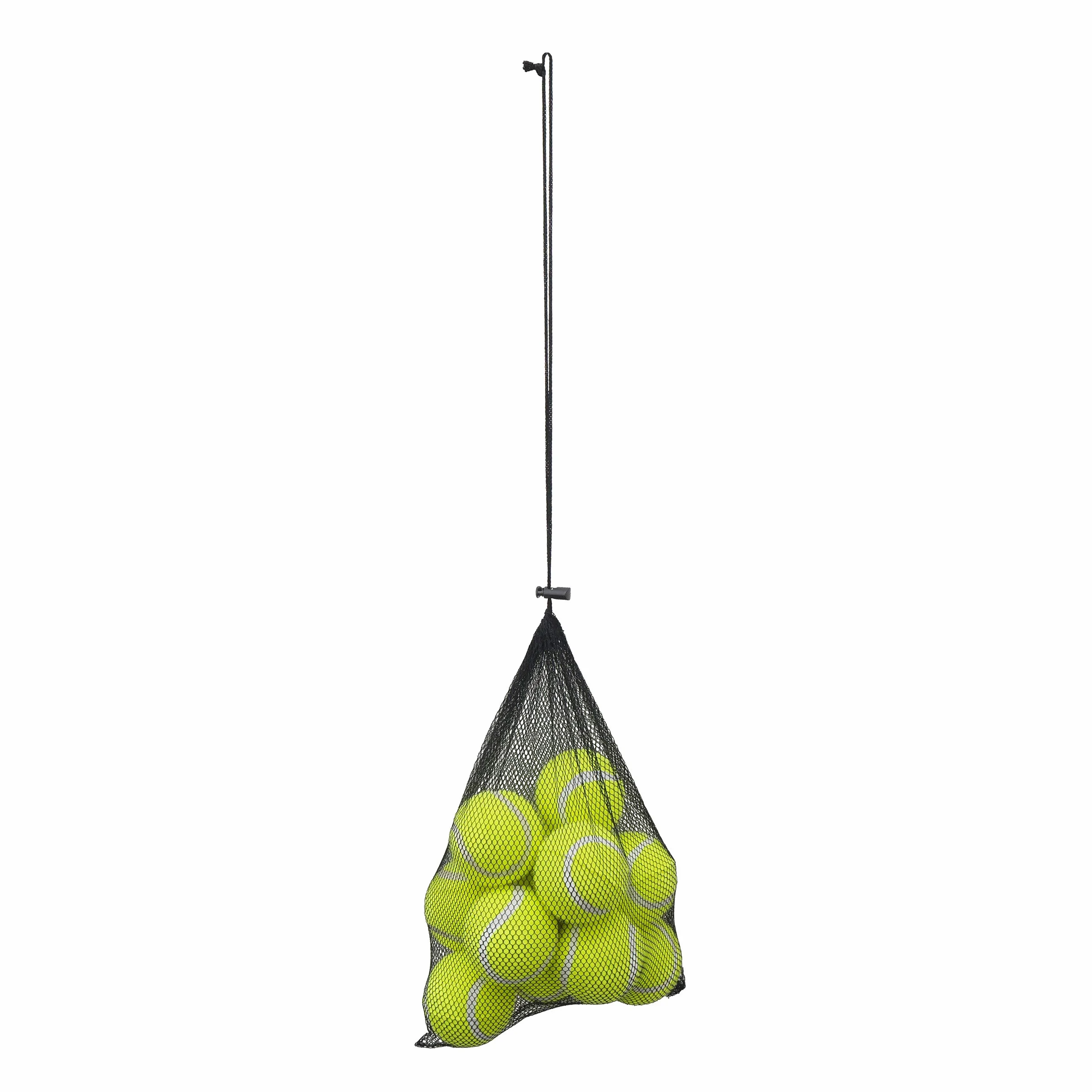 Rosewood 12 balles de Tennis Standard pour Chien