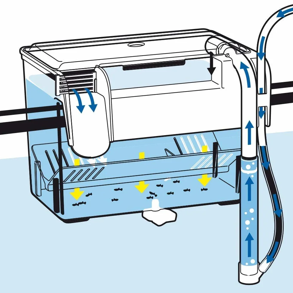 WAVE Salle d'Accouchement pour Aquariophilie Taille L