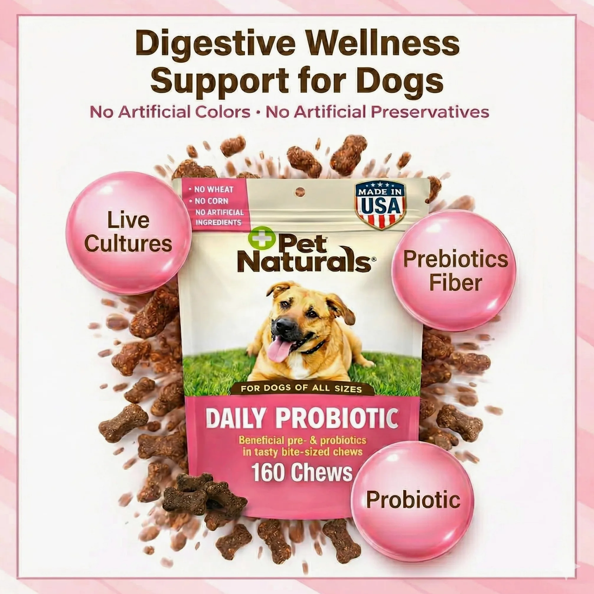 Pet Naturals Probiotiques Quotidiens pour Chiens, saveur Canard, 160 friandises à mâcher – 120 M UFC pré-et probiotiques pour la santé Digestive, la santé intestinale, Le Soutien immunitaire, la