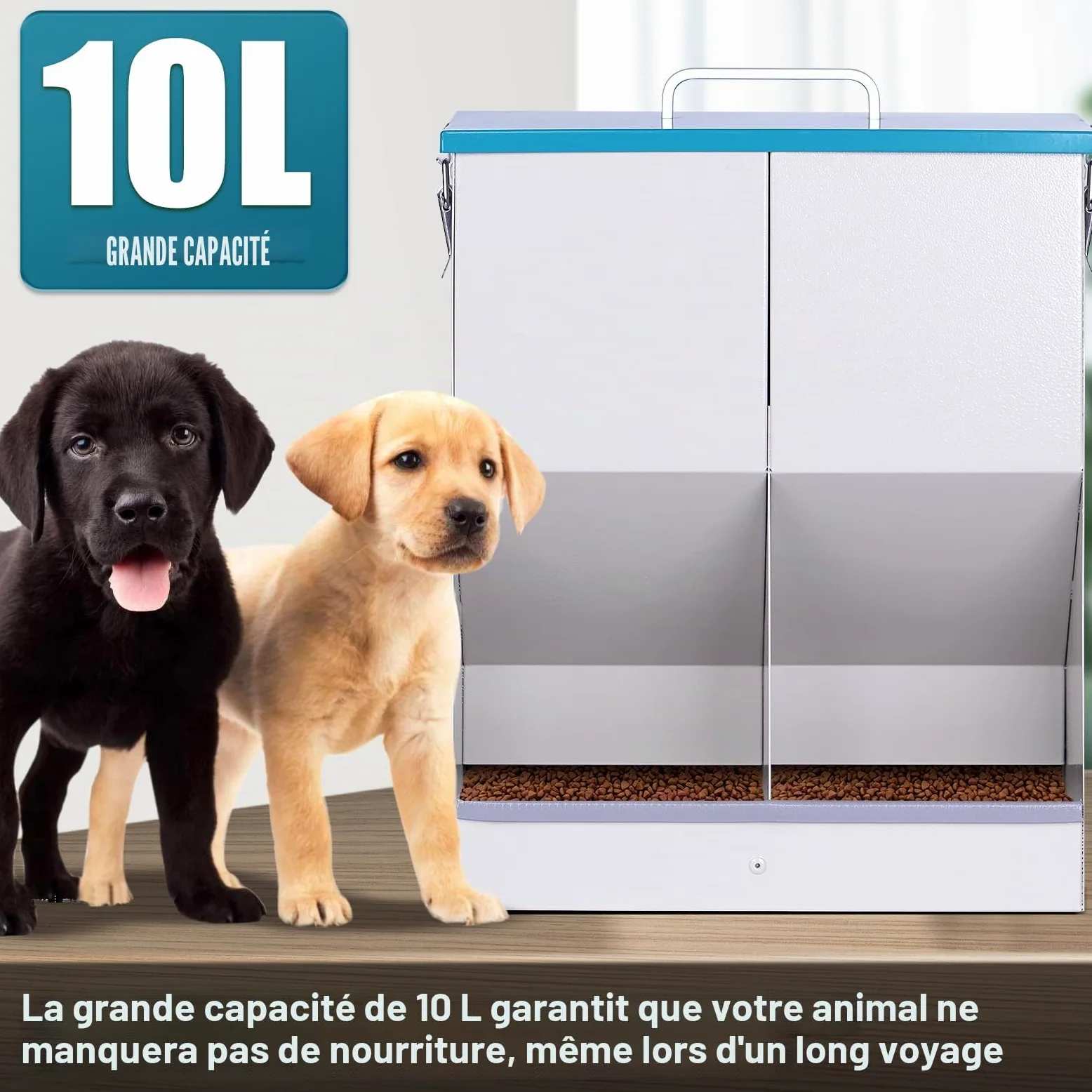 Distributeur Croquettes Chat Automatique pour 2 Chats 10L Distributeur de Nourriture Sèche pour Chiens Métal Mangeoire pour Chats et Chiens