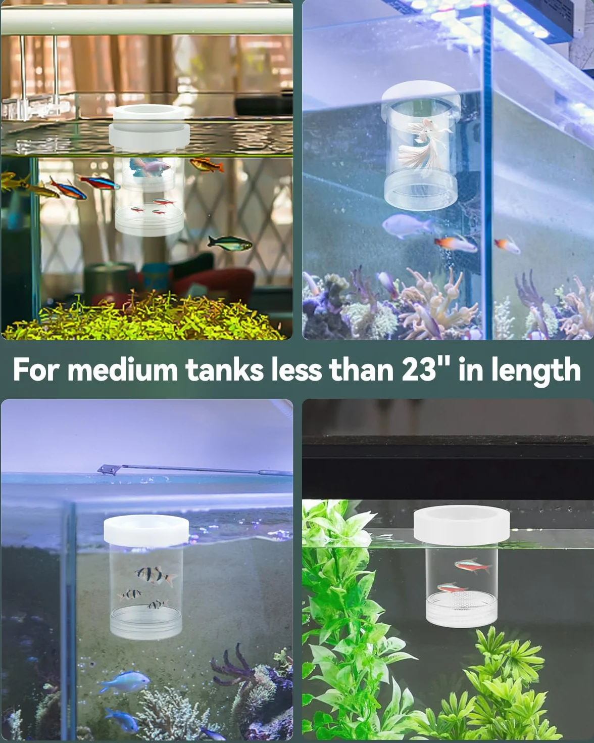 Pawfly Boîte d'élevage pour Aquarium Flottante Reproduction Guppys Séparateur Alevins Incubateur Plastique Crevettes Betta Poisson-Clown Moyen