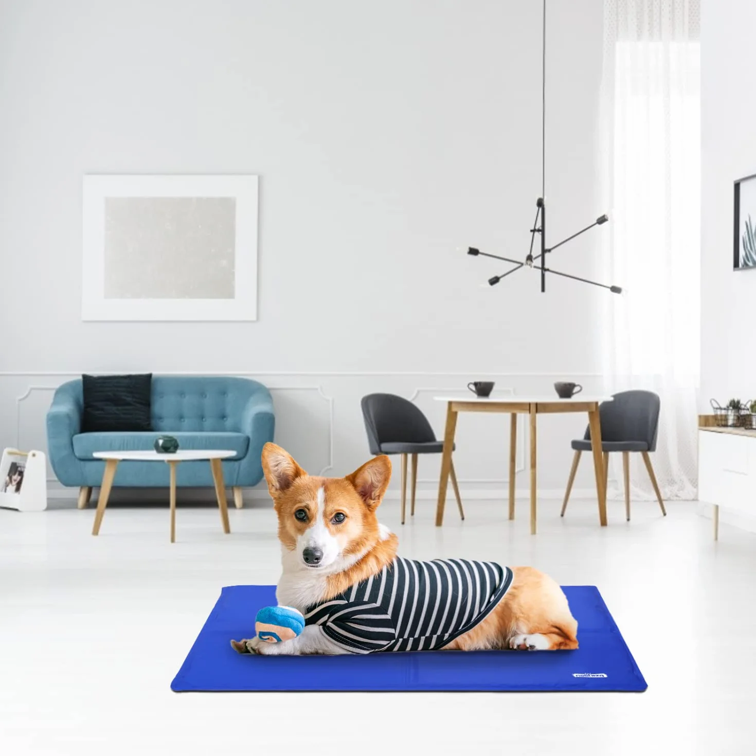 Nobleza Tapis de Refroidissement pour Chiens 65x50cm Bleu
