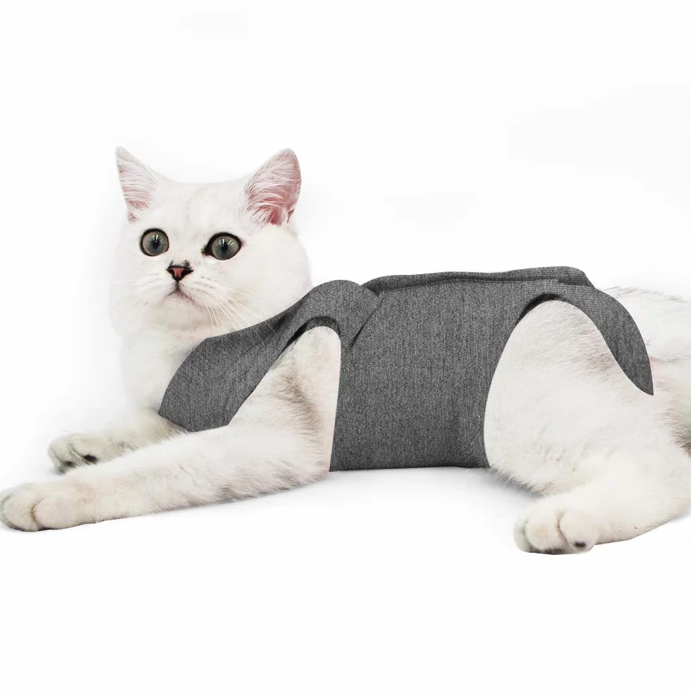 Dotoner Cat Professionnel Collerette Restauration pour Plaies et Maladies de la Peau, Alternative pour Chiens et Chats après Chirurgie
