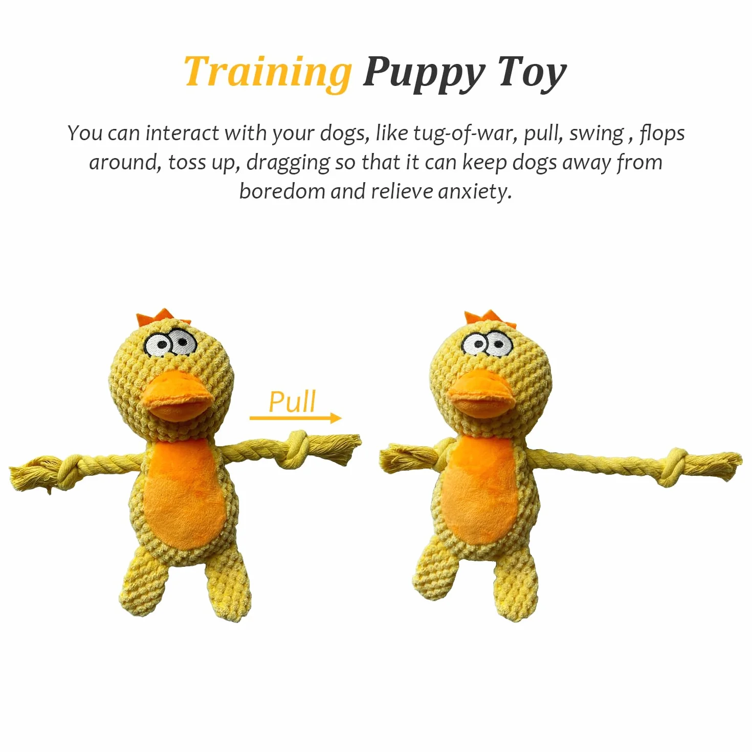 Jouets pour Chiens en Peluche à Couinement pour Chiot Petite et Moyenne Taille Élan