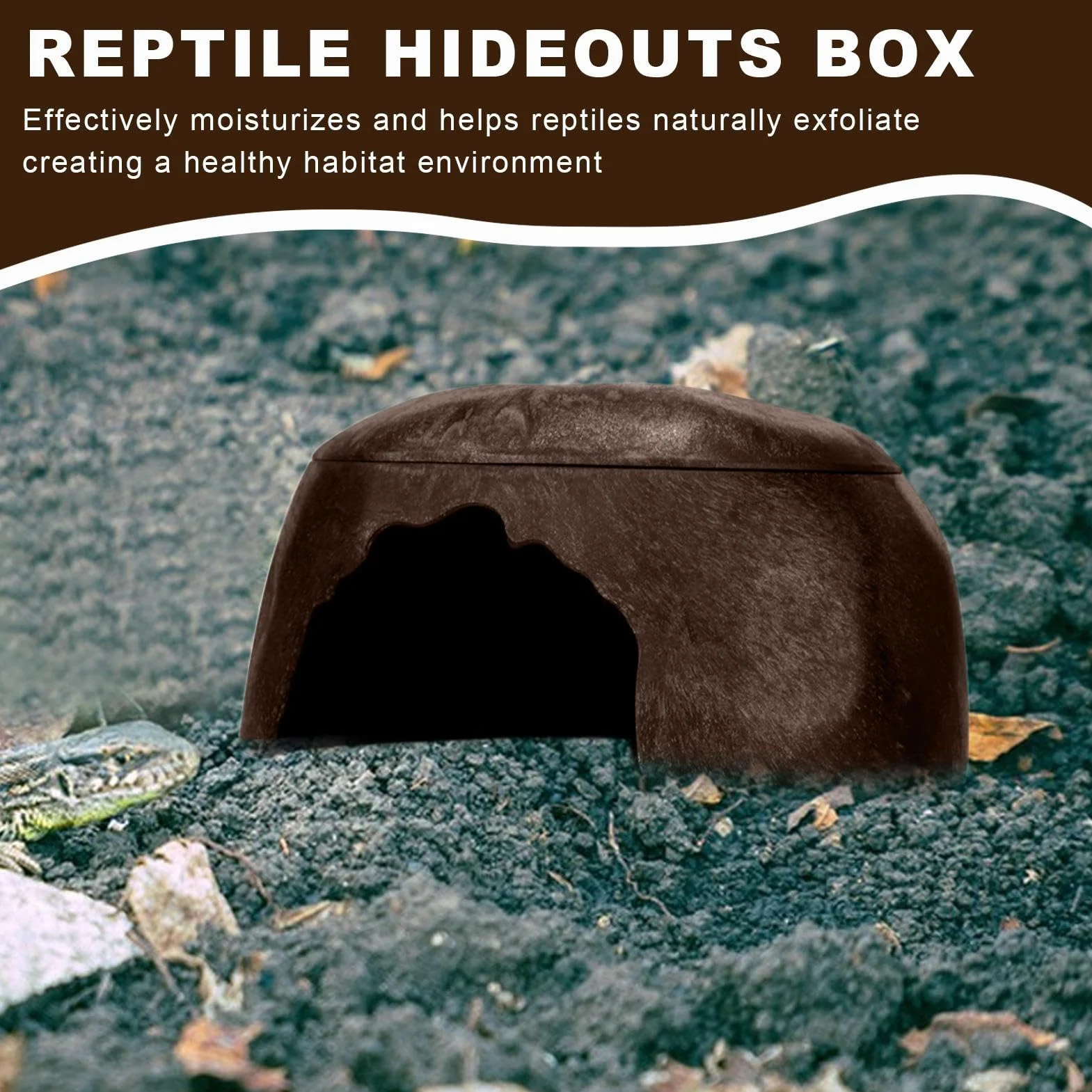 Cachette pour Reptiles, Abri pour Grenouilles, Lézard avec 3 Éviers pour Gecko, Barbu, Dragon