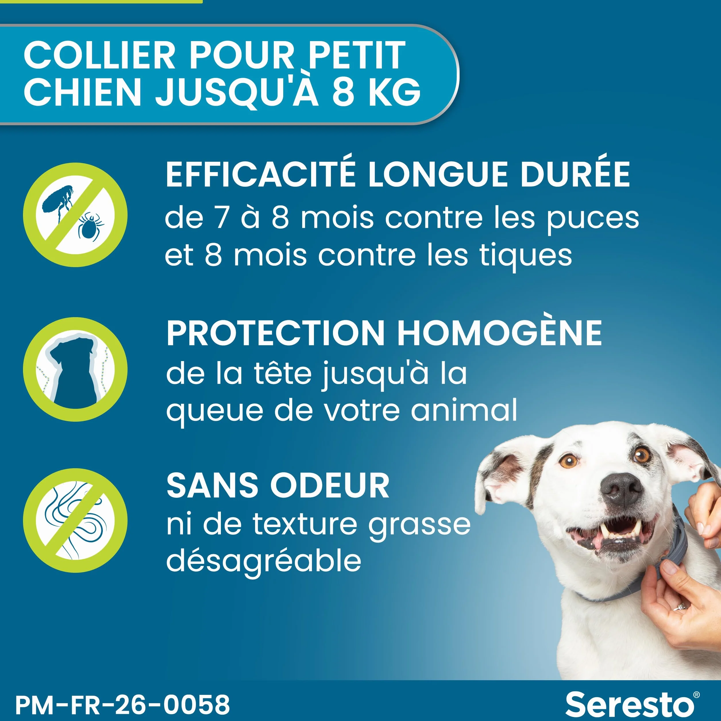 Seresto Collier Petits Chiens – Anti puces et anti tiques pour chiens moins de 8 kg – Protection 7-8 mois, réduit leishmaniose – Gris