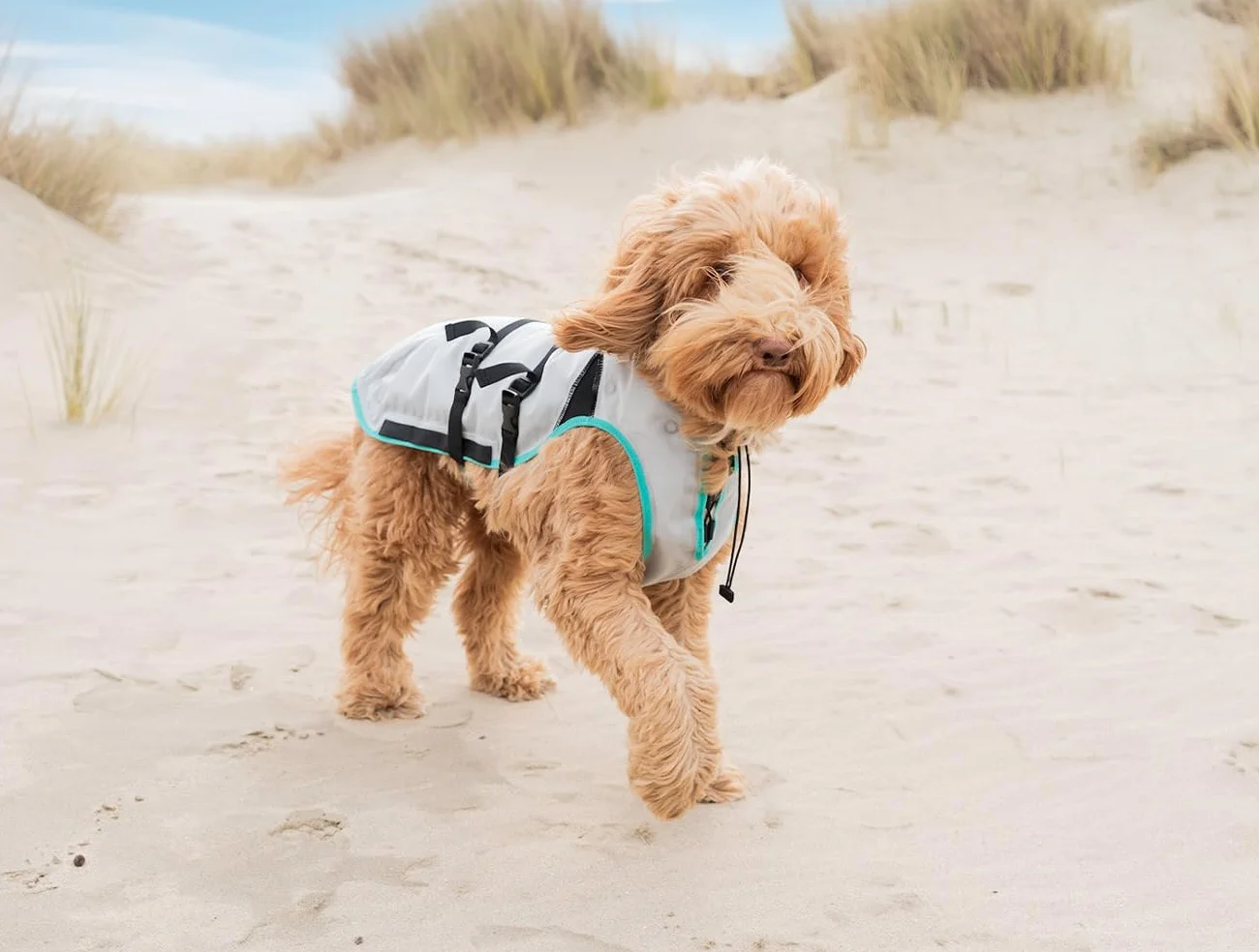 Suitical Dry Cooling Vest Chien XS Argent