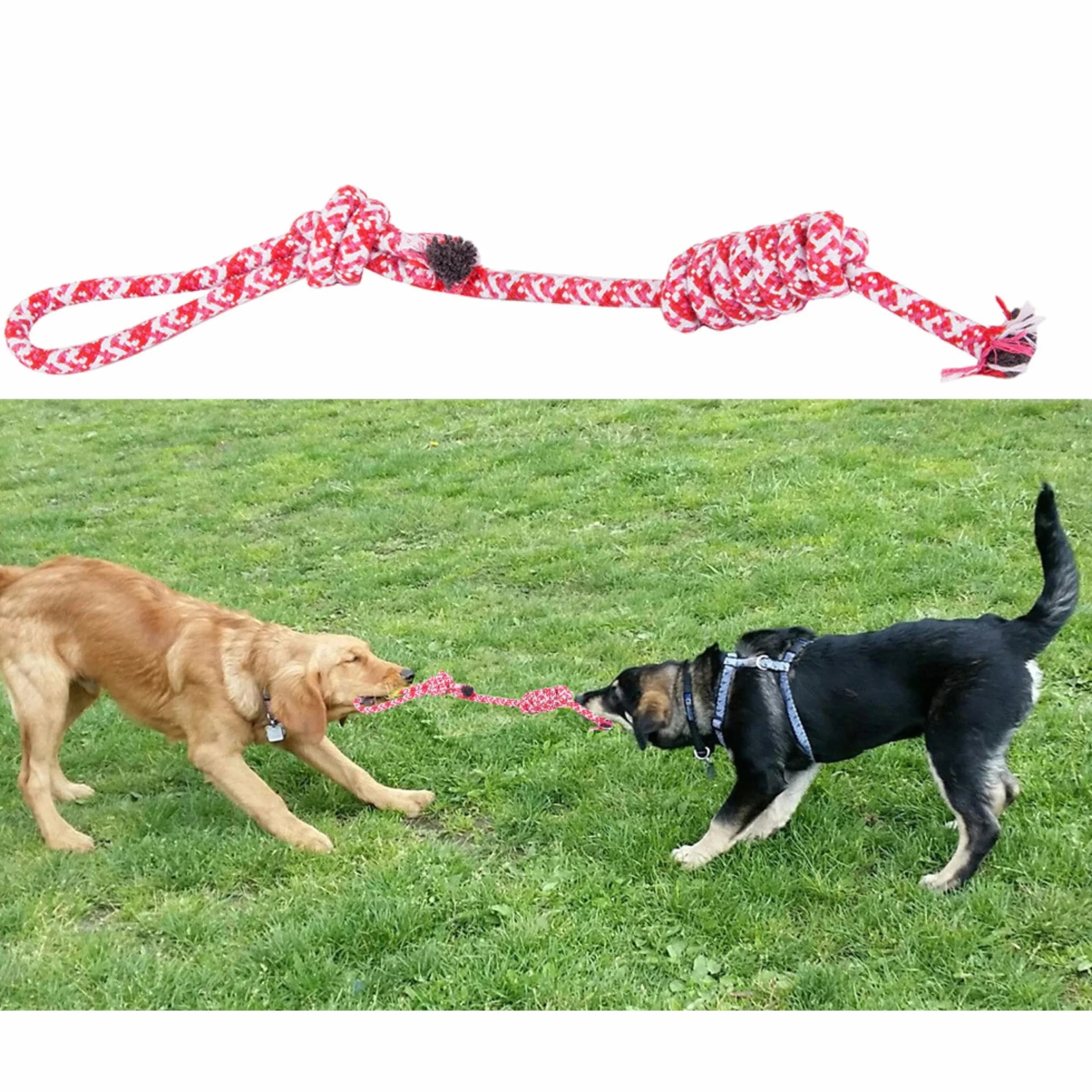PARENCE Jouet Corde Tressée pour Chien 40 cm Ultra Résistant Poignée 10 cm