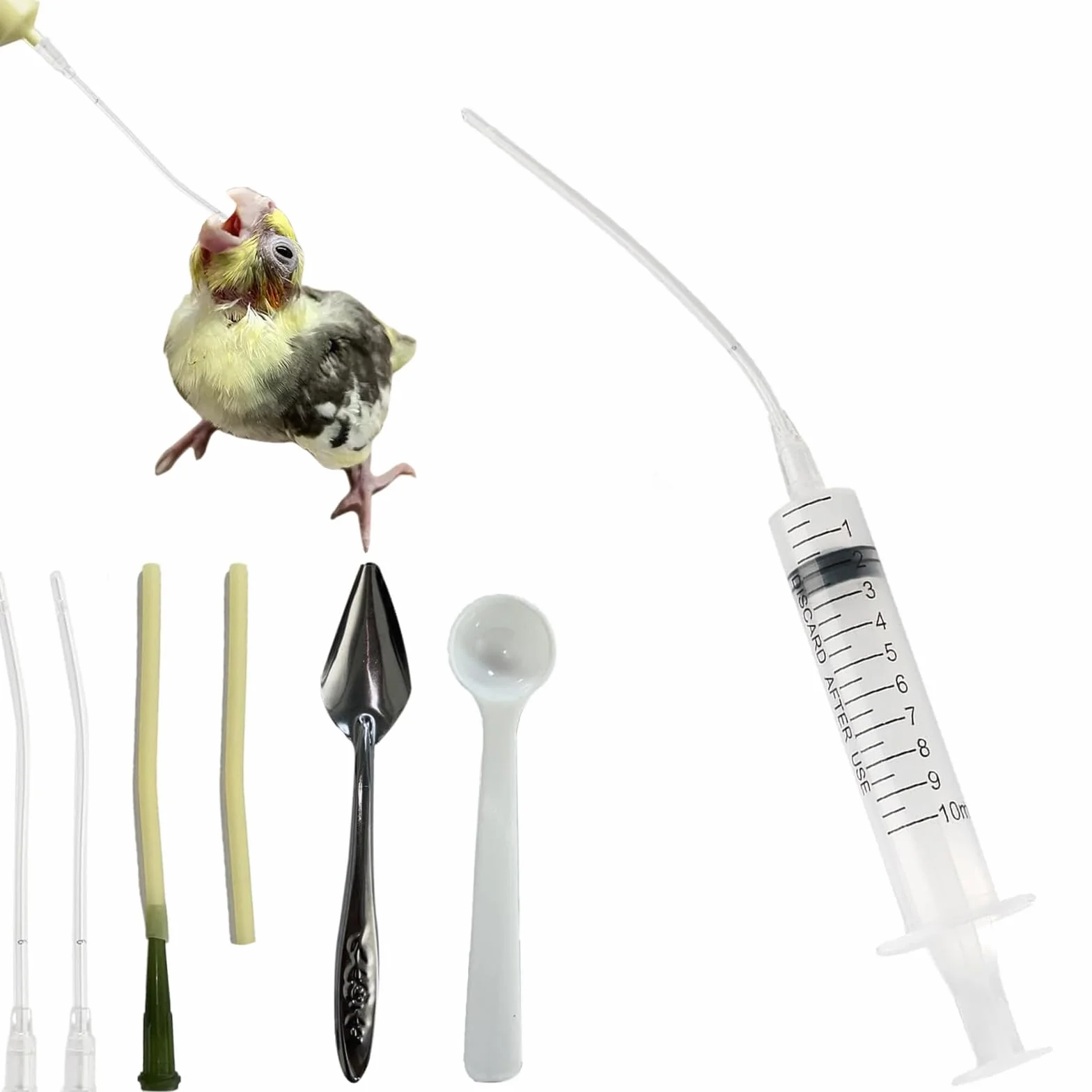 Tuyau d'alimentation pour jeunes oiseaux seringue 10 ml accessoires pigeons outil alimentation main bébés oiseaux perroquets