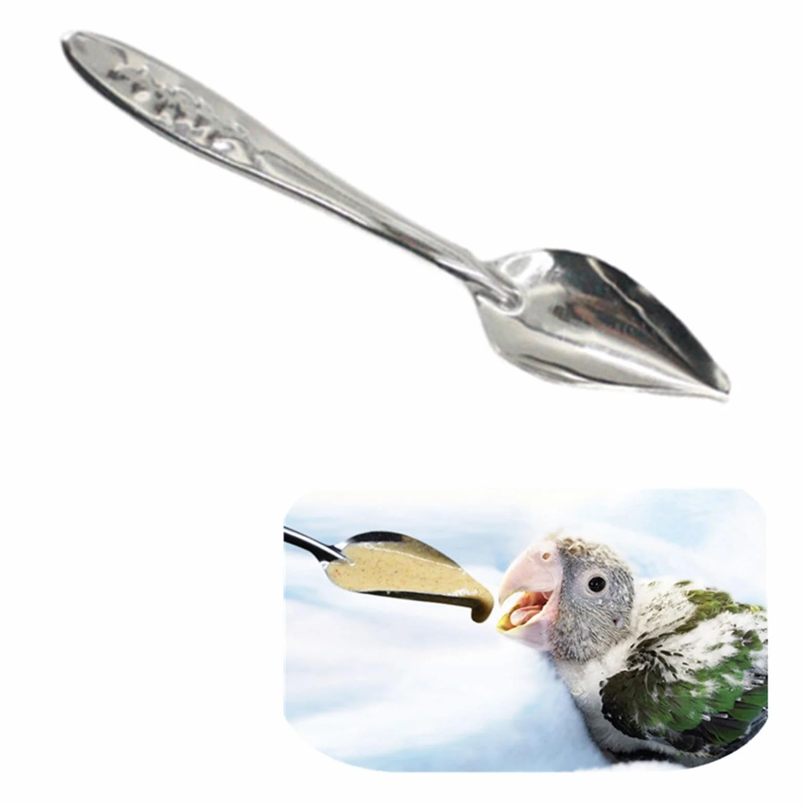 Cuillère à Nourrir pour Oiseaux en Métal 10 Pièces pour Perruches, Conures, Pivoine