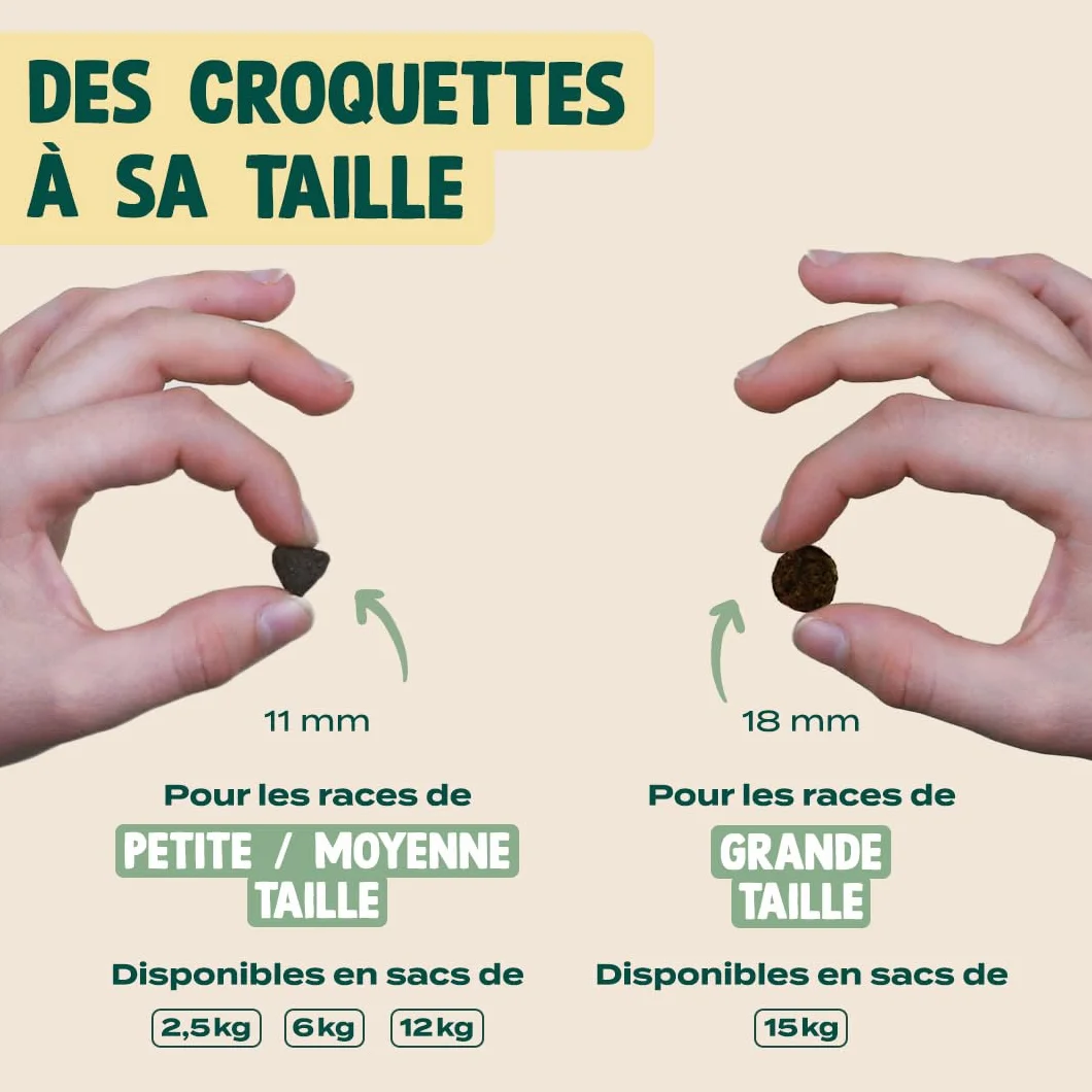 Franklin Croquettes pour Chien 70% Saumon Mono-protéine sans Céréales Peau et Pelage 2,5 kg