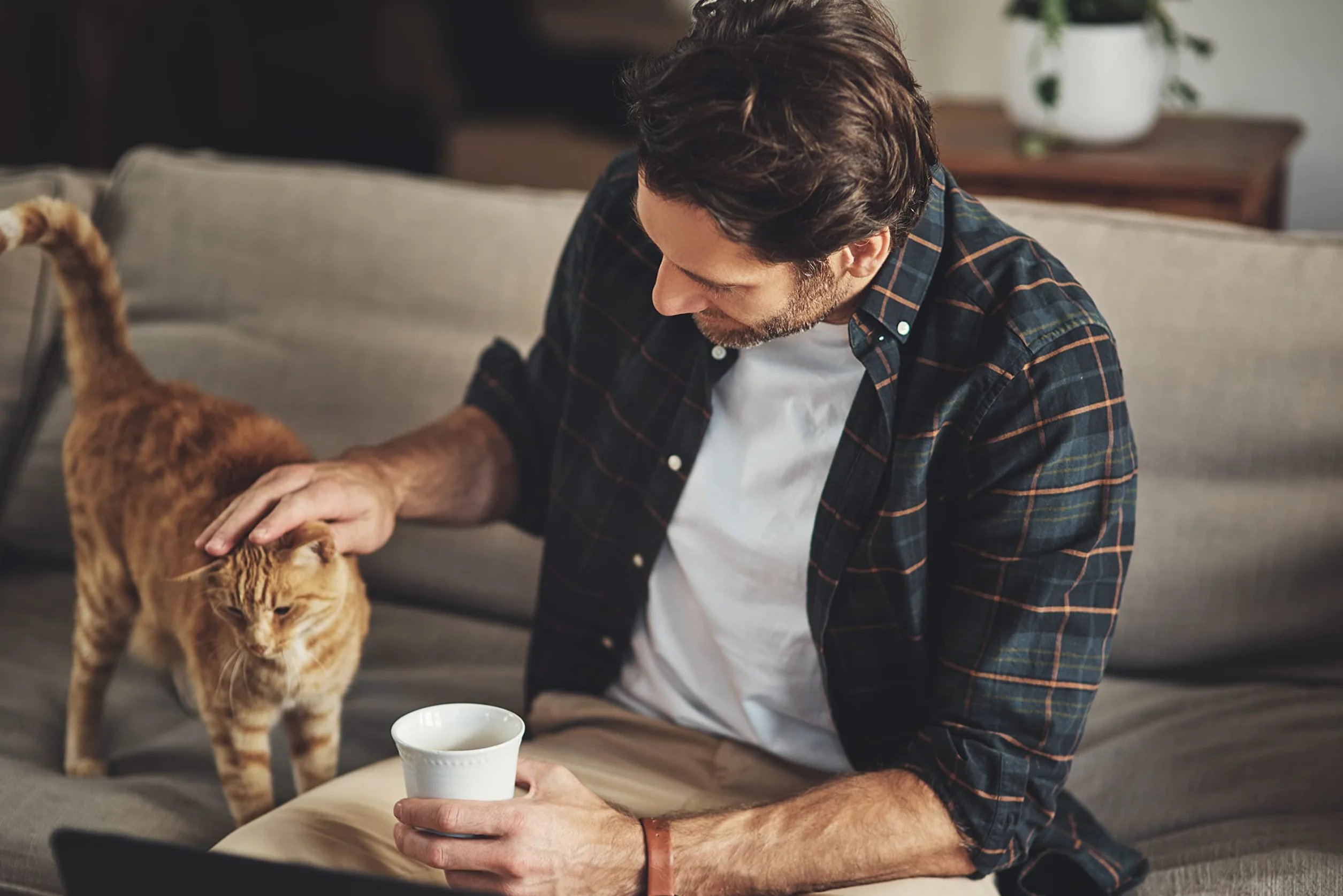 Dokas cœurs de Poulet lyophilisés Friandises pour Chats 4 x 15 g