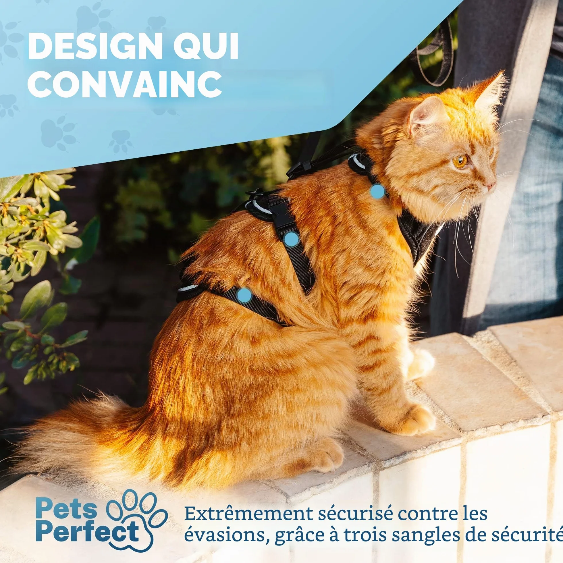 Harnais pour Chat Anti-éclatement avec Laisse Noir Rayure S