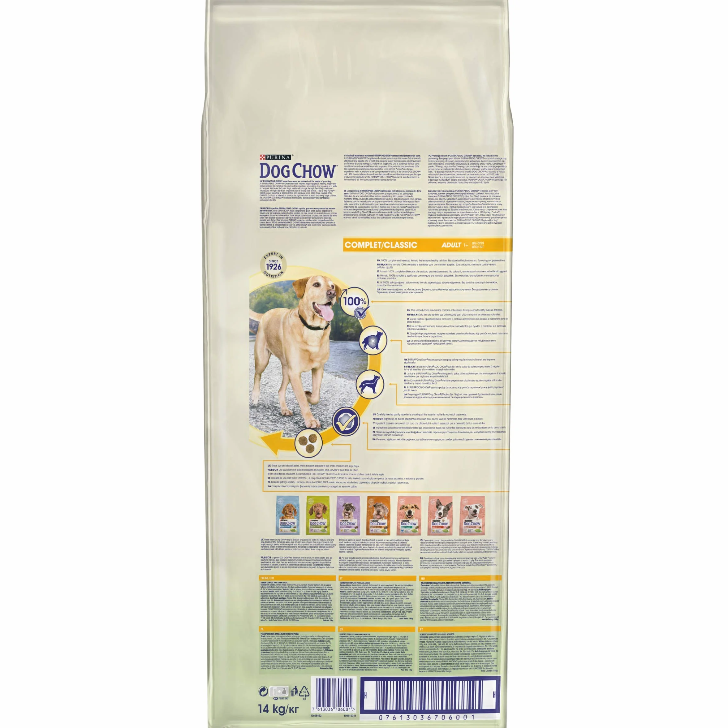 DOG CHOW Aliment Complet Chien Adulte Croquettes au Saumon 14 kg