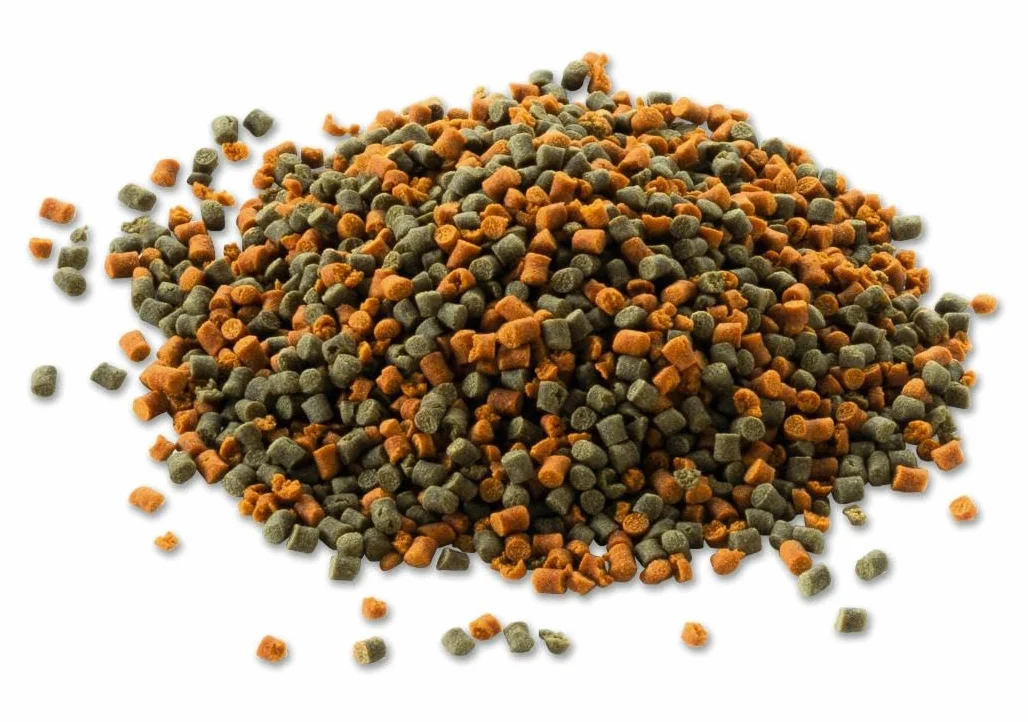 Tetra Cichlid Granules Aliment Complet pour Cichlidés de Taille Moyenne Poissons Eau Douce Tropicale 500ml