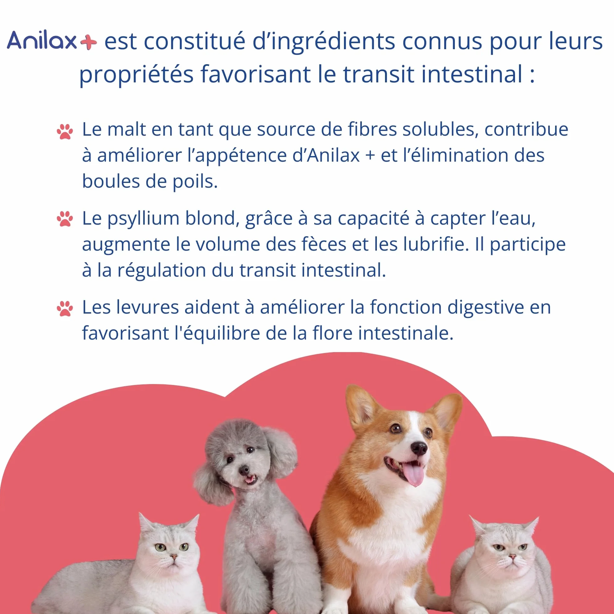 Anidev Anilax+ Aliment complémentaire Transit Chats Chiens Anti Boules de Poils Malt Psyllium Tube 40 g
