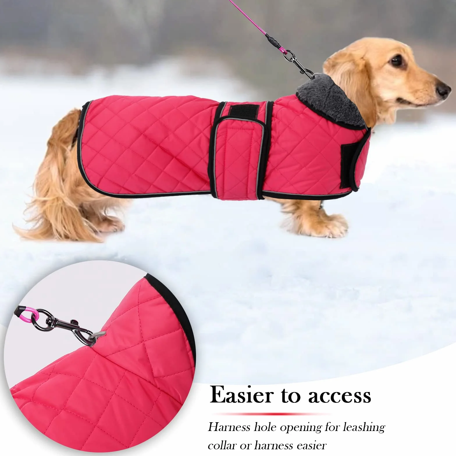 Manteau imperméable pour Teckel, Manteau d'hiver pour Chien avec Doublure en Polaire, Bandes réglables - Rose XS