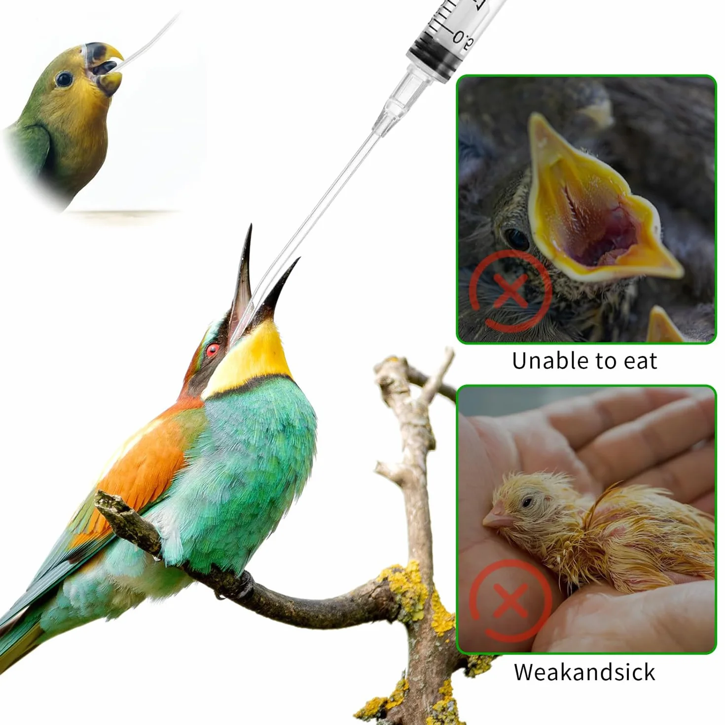 Seringue Alimentaire 10 ml pour Oiseaux avec Tubes - Outil d'Alimentation Manuelle pour Perroquets, Pigeons, Moineaux