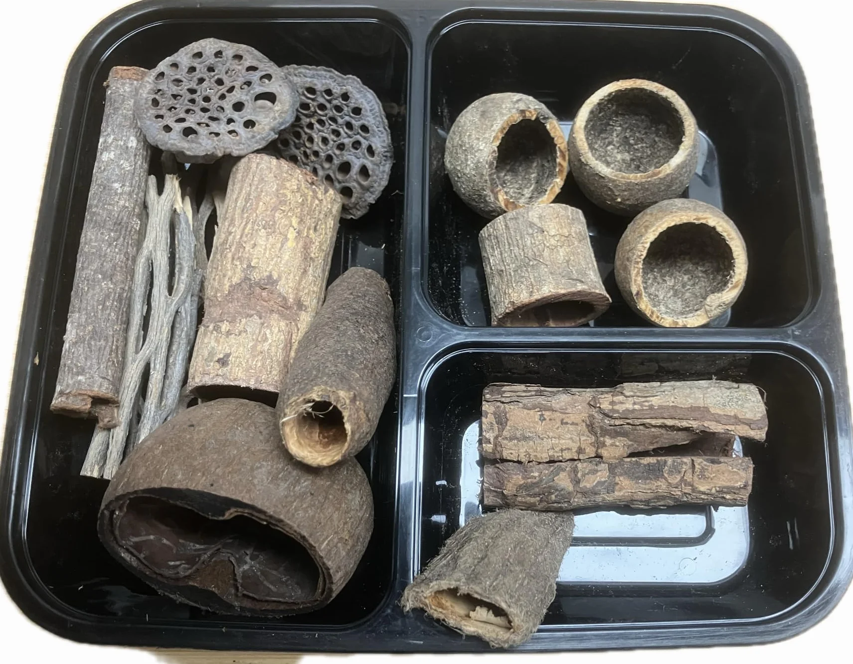 Vuka Cholla Lot de 15 aquariums avec grottes cachette naturels