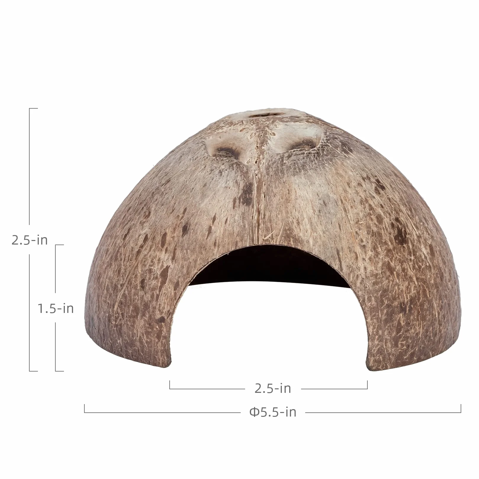Niteangel Naturel Noix de Coco Reptile Cachette Lézard Poisson Aquarium Grotte Surface Lisse