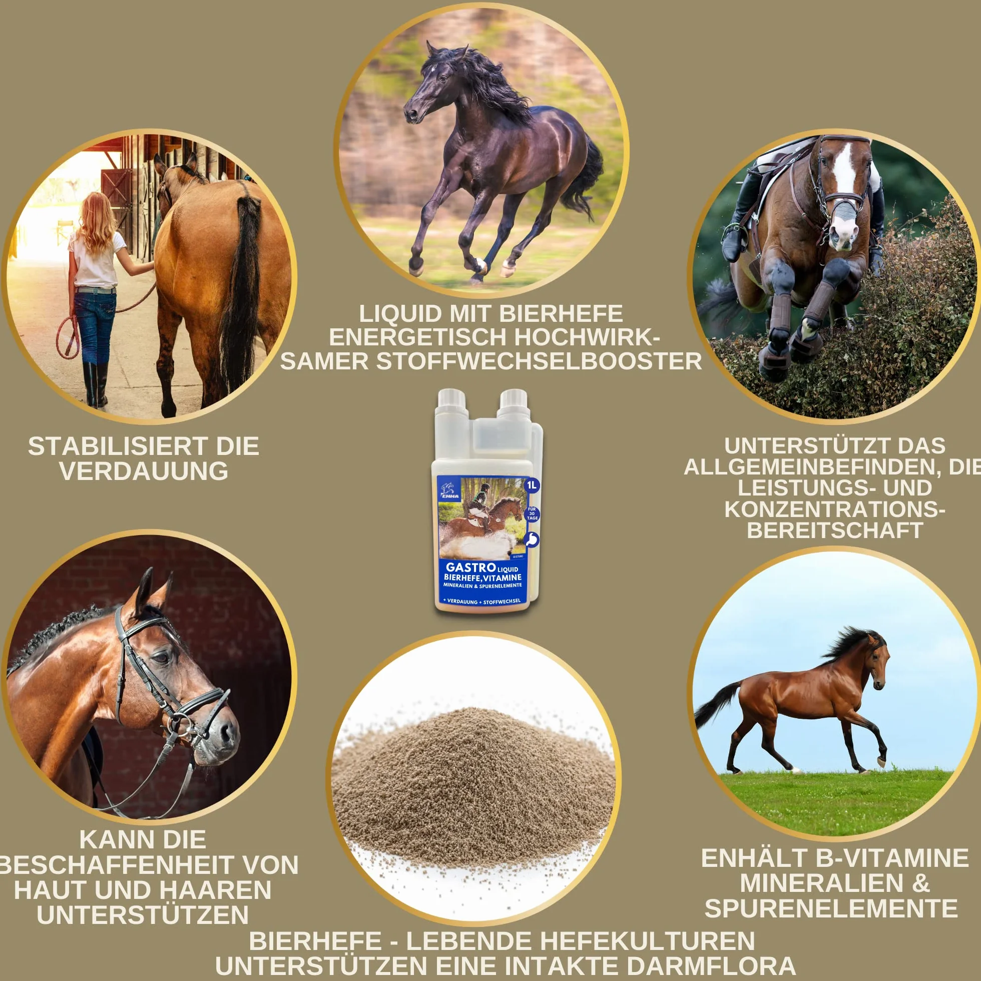 Levure de bière Cheval Gastro Liquide probiotiques pour Chevaux Pelage Peau Flore intestinale Digestion Vitamines Minéraux 1L