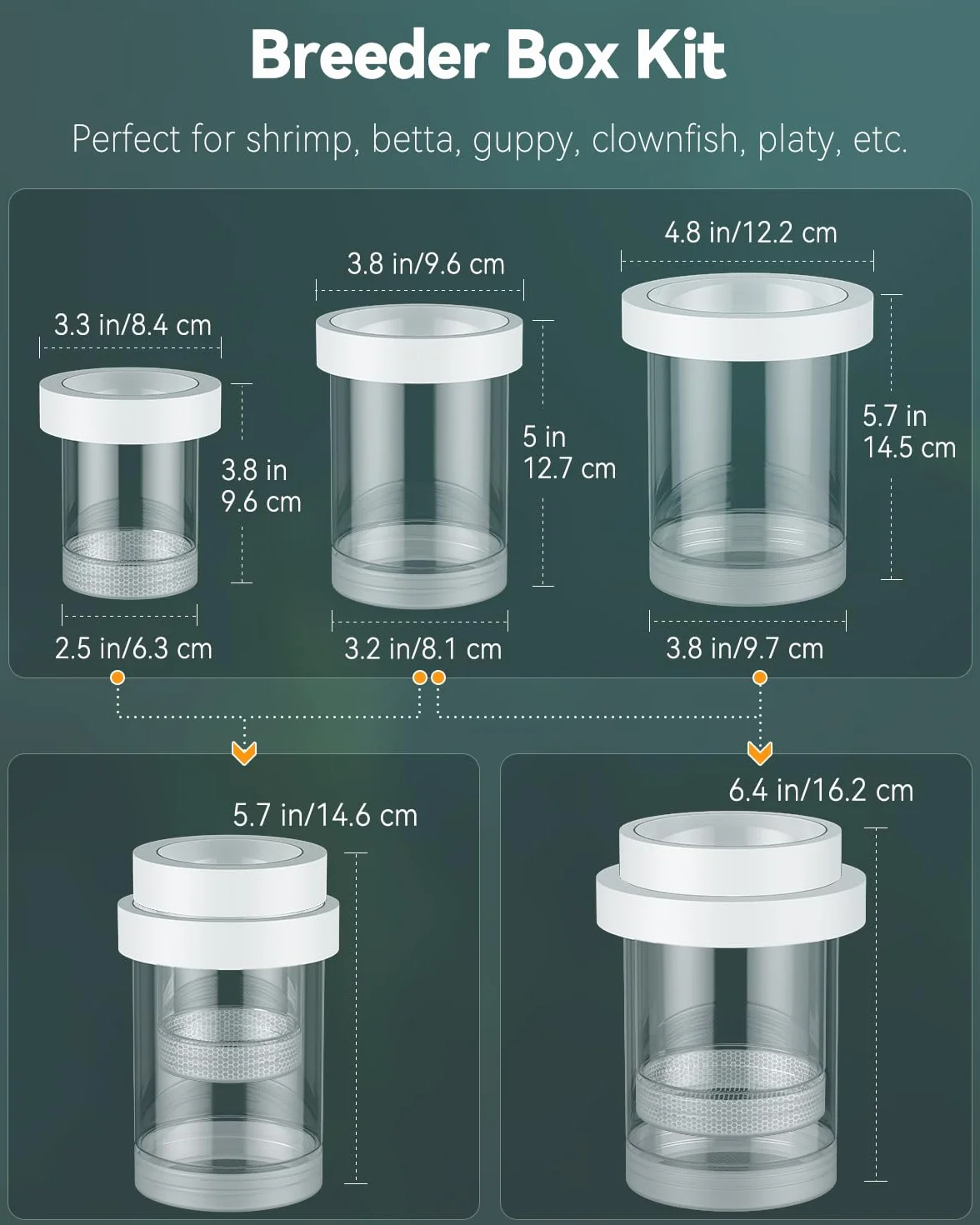 Pawfly Boîte d'élevage pour Aquarium Flottante Reproduction Guppys Séparateur Alevins Incubateur Plastique Crevettes Betta Poisson-Clown Moyen