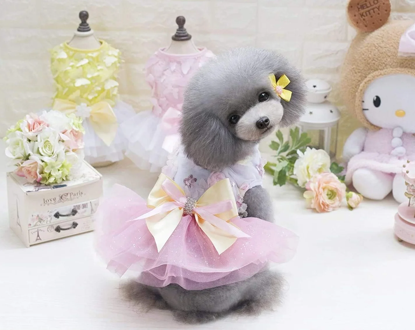 Robes Tutu Princesse Dentelle de Luxe pour Petit Chien Fille Rose